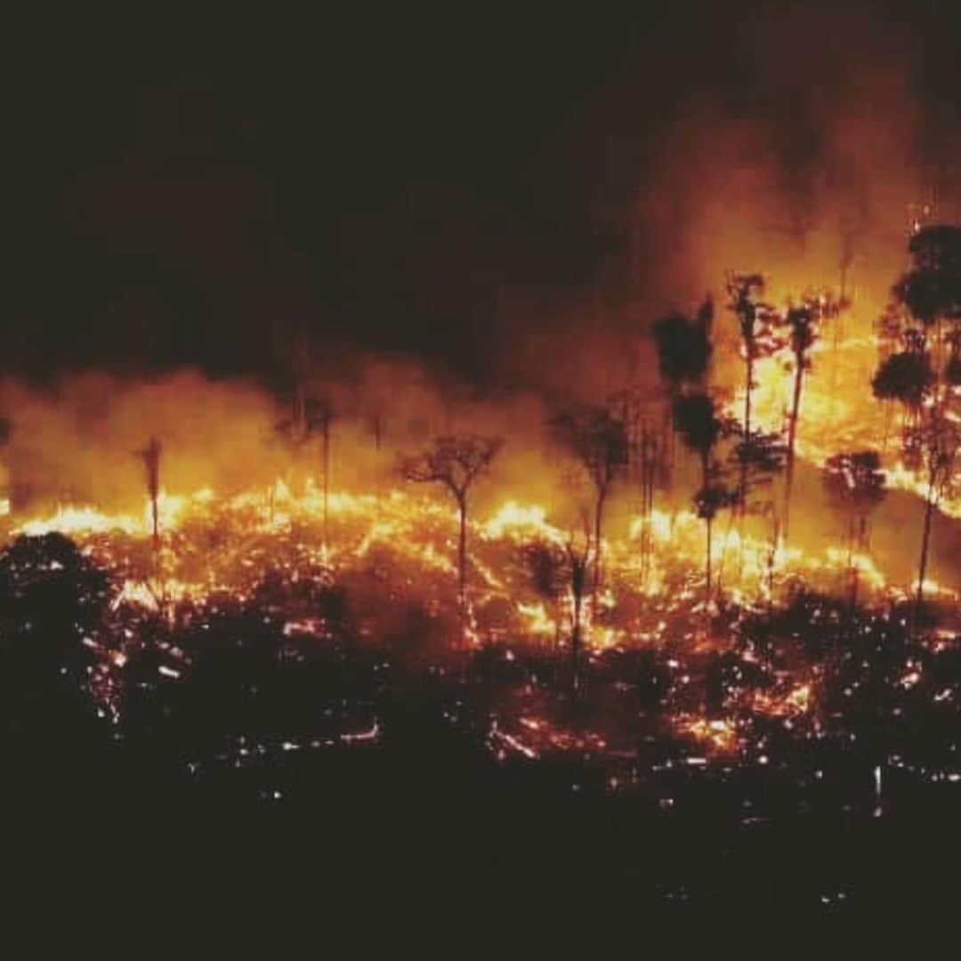 Gabriela Salesさんのインスタグラム写真 - (Gabriela SalesInstagram)「A Amazônia queima há 16 dias e, com ela, também muito de nós mesmos. Quando o homem vai perceber que não somos seres distintos da natureza, somos parte dela, e que, sem ela, nossa própria existência é inexistente. O papel não vale mais que a folha da árvore, nós não valemos mais que os bichos. Tudo deve andar em sintonia para o mundo voltar a ter um pouco mais de equilíbrio. Parem de destruir a nossa casa! #prayforamazonia #amazonia #sosamazonia」8月20日 23時24分 - ricademarre