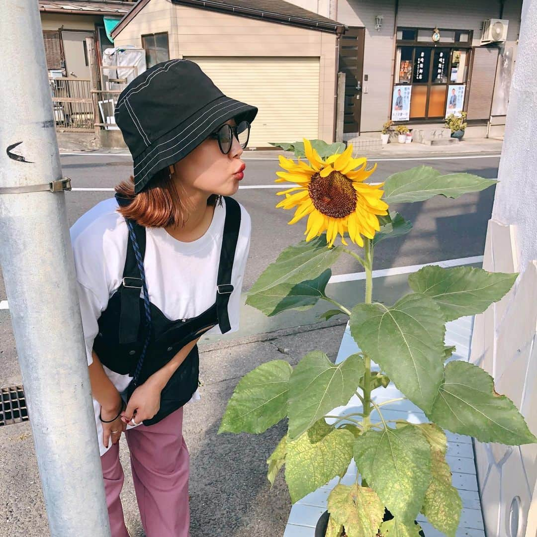 橋本愛奈さんのインスタグラム写真 - (橋本愛奈Instagram)「背比べだよ🌻🌻🌻 今日もたくさん歩きました 散歩だいすき倶楽部、発足です(入部者、求ム) #あいの夏休み #散歩だいすき倶楽部 #いつかのハシモト」8月20日 23時37分 - aina_hashimot0