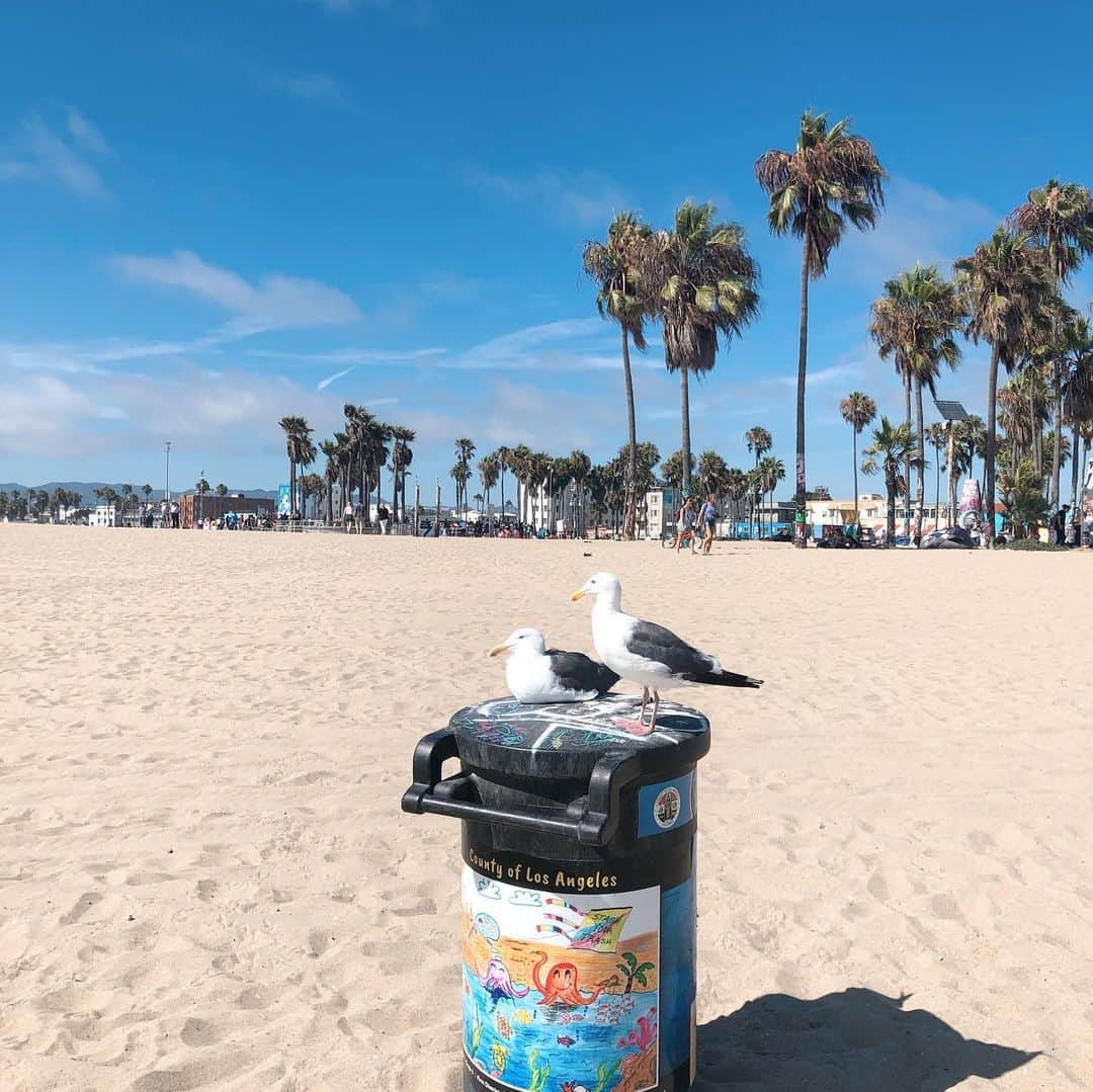 西山美希子さんのインスタグラム写真 - (西山美希子Instagram)「Venice beach!!!!!! #summerbreak #la #venicebeach」8月20日 15時26分 - mariaclove