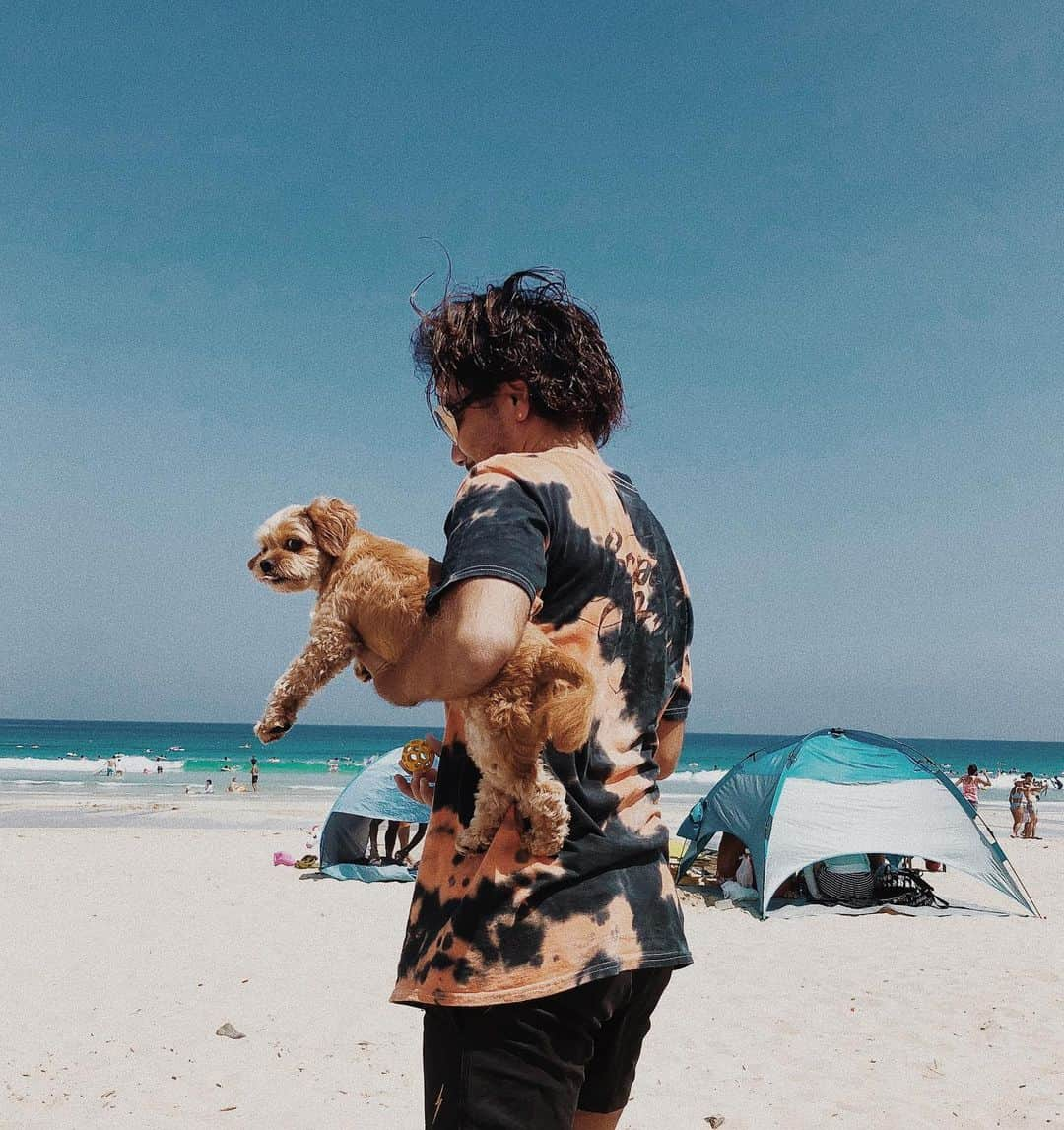 浅野宏明さんのインスタグラム写真 - (浅野宏明Instagram)「浅野のなとぅ休み🏝🐶😎 #伊豆#白浜#白浜海岸#summer#sea#beach#summertime#dog#チワプー」8月20日 15時30分 - hiro_vaice