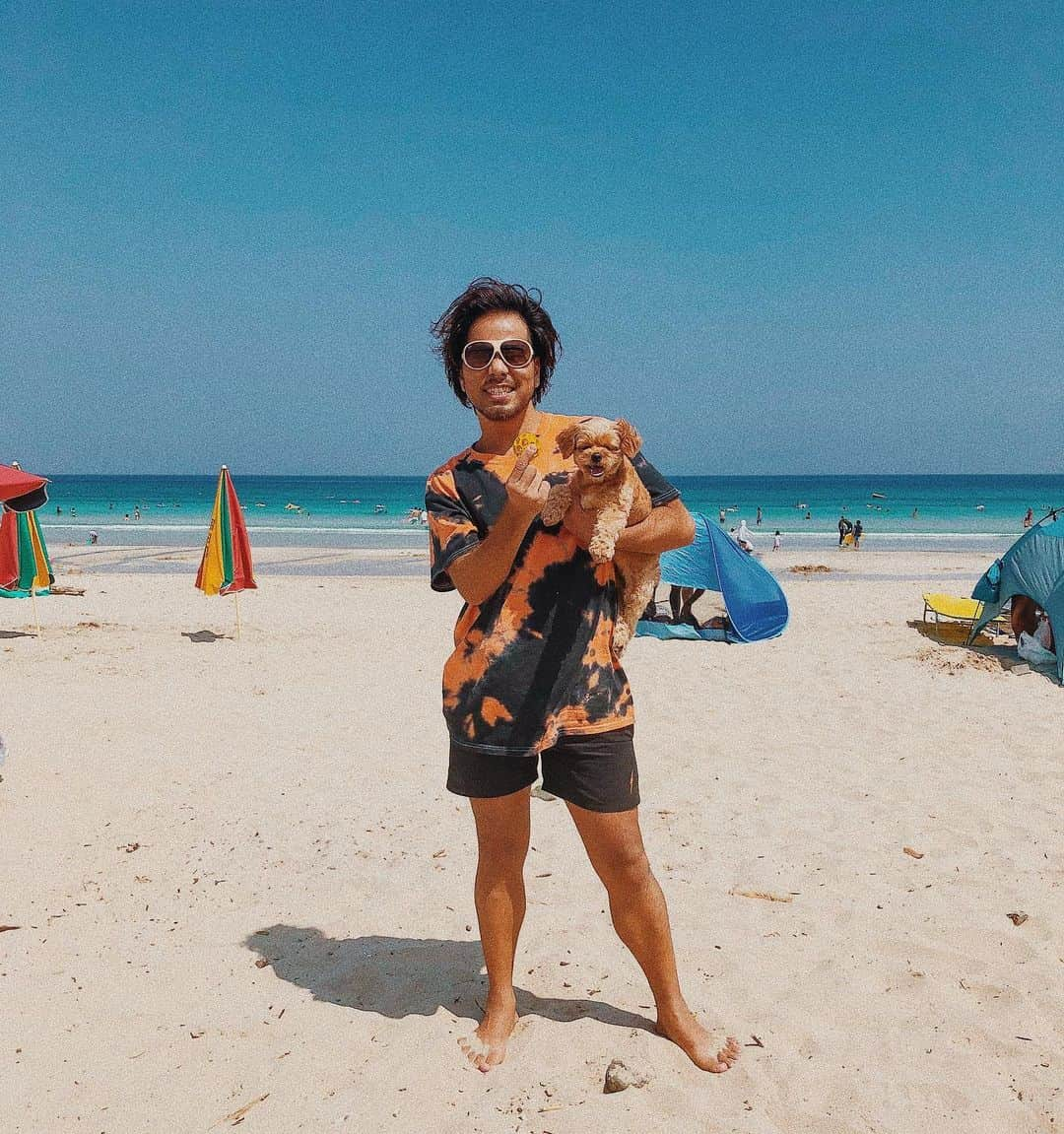 浅野宏明さんのインスタグラム写真 - (浅野宏明Instagram)「浅野のなとぅ休み🏝🐶😎 #伊豆#白浜#白浜海岸#summer#sea#beach#summertime#dog#チワプー」8月20日 15時30分 - hiro_vaice