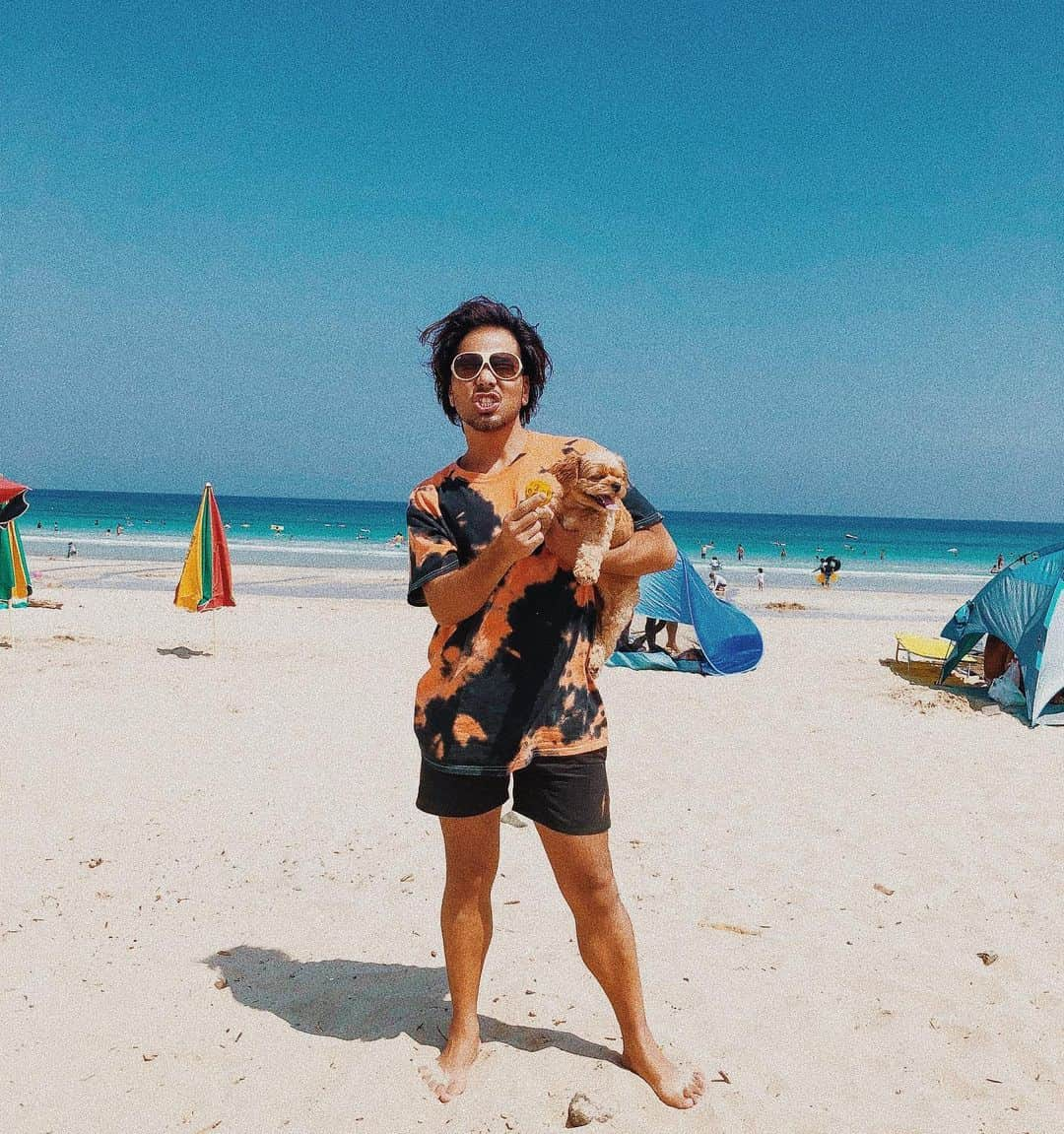 浅野宏明さんのインスタグラム写真 - (浅野宏明Instagram)「浅野のなとぅ休み🏝🐶😎 #伊豆#白浜#白浜海岸#summer#sea#beach#summertime#dog#チワプー」8月20日 15時30分 - hiro_vaice