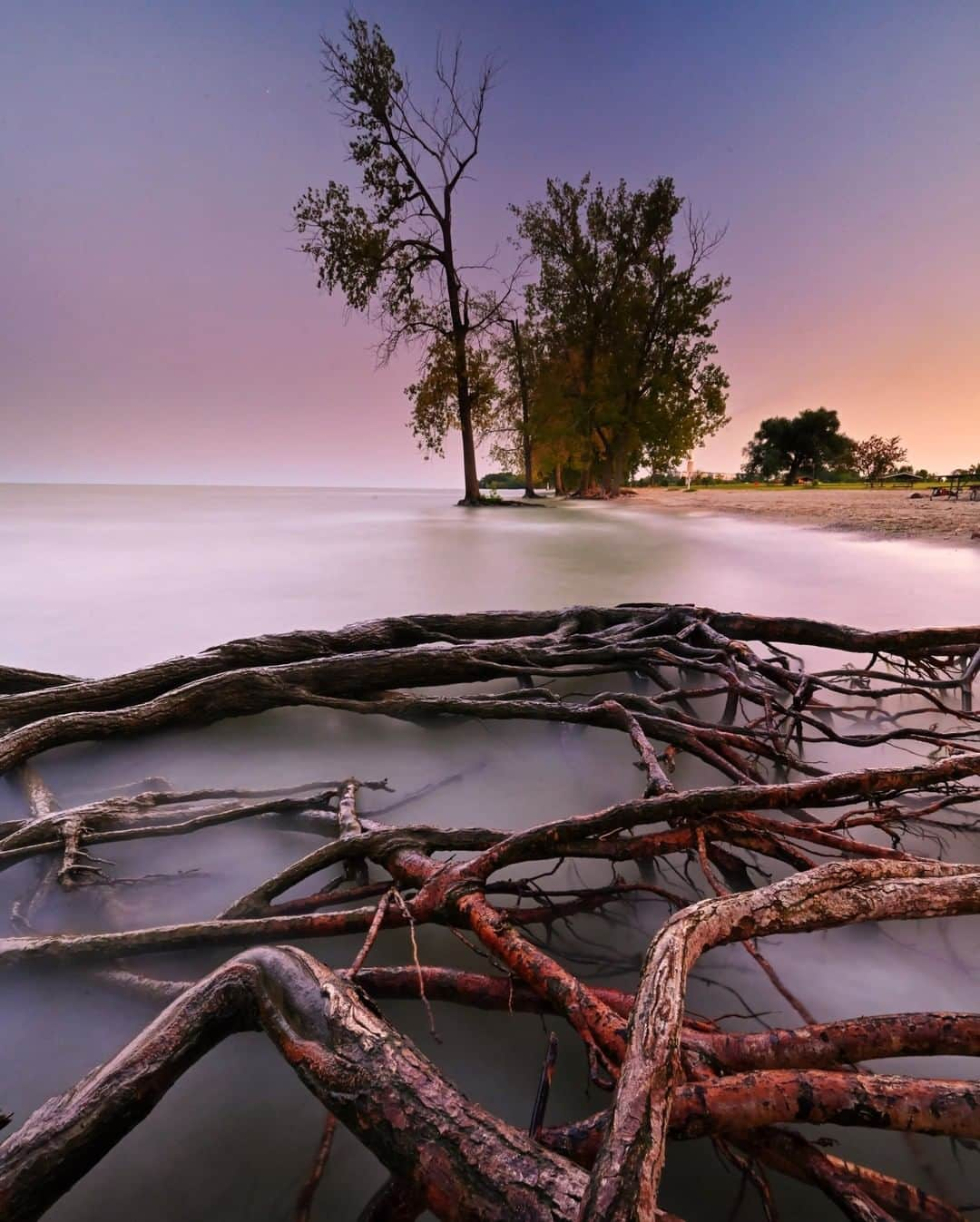 ナショナルジオグラフィックさんのインスタグラム写真 - (ナショナルジオグラフィックInstagram)「Photo by Keith Ladzinski @ladzinski | Tree roots are exposed and carved out from extraordinary high water levels on #lakeErie. The Great Lakes are presently experiencing the highest water volumes in documented history, resulting in overtly apparent erosion and flooding in towns and wilderness areas along the shores. #onassigmnent for @natgeo」8月20日 15時39分 - natgeo