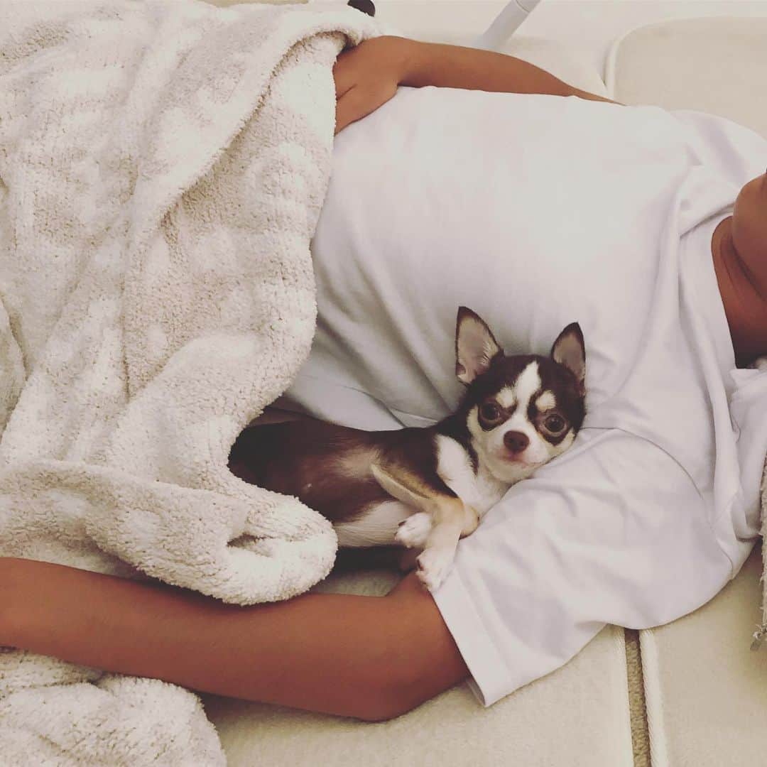 のインスタグラム：「息子に抱かれて寝るマーリー💕 #彼女か #いつもベッタリ #♀」