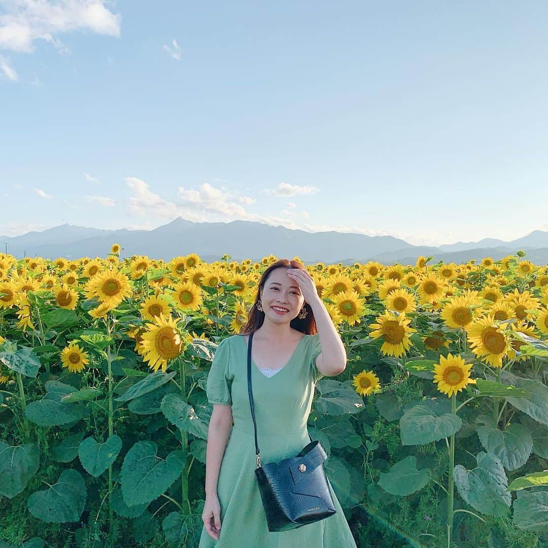 神尾美沙さんのインスタグラム写真 - (神尾美沙Instagram)「🌻﻿ ﻿ お花づくしの富良野周辺！﻿ ﻿ ファーム富田に向かう途中偶然見つけたひまわり畑。﻿ 今まで見た中でも断トツで綺麗に咲いていて、偶然に感謝…💛﻿ ちょうど夕方で、黄色がさらに増してたなぁ🌻﻿ 秦基博さんが飛ぶかなって思ったけど飛ばなかった😊笑﻿ ﻿ ﻿ ファーム富田はもうラベンダーは無かったけど﻿ マリーゴールドやら、たくさん咲いてました！﻿ メロンソフト食べて大満足🍈﻿ ソフトクリームの形がすごい綺麗な💩だった笑﻿ ﻿ ﻿ ﻿ #ひまわり#ひまわり畑#ひまわり畑2019#ファーム富田#とみたメロンハウス#メロンソフト#花畑#北海道#北海道旅行#北海道グルメ#北海道観光#富良野#富良野カフェ#富良野グルメ#富良野観光#japantrip#hokkaidotrip#furano」8月20日 16時10分 - kamiomisa