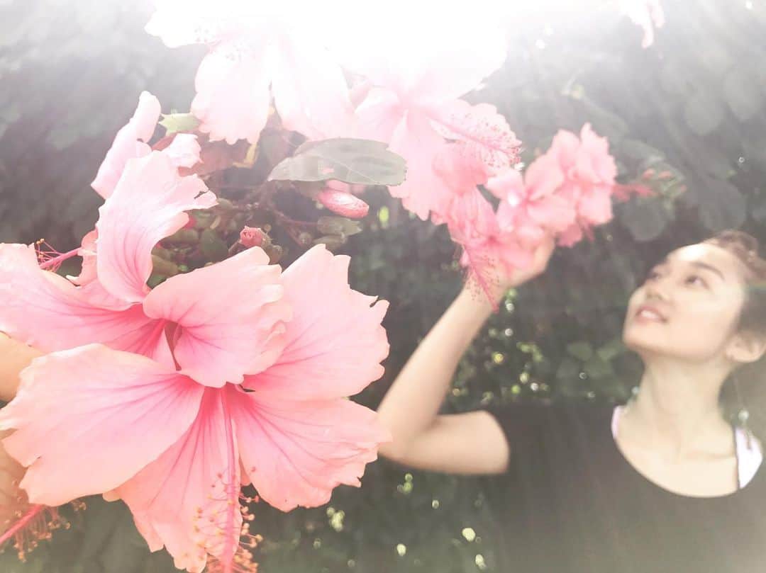 神田咲実さんのインスタグラム写真 - (神田咲実Instagram)「最近 ハワイについて よく ご質問頂けるようになりました🌺 * こうやってハワイに関われることは とても嬉しく 幸せだと思うこの頃です🌺 * 昔の写真を掘り起こしたりして 私なりのハワイを これからも 更新していきます🧡 * #sakimiNhawaii#hawaii」8月20日 16時27分 - sakimikanda