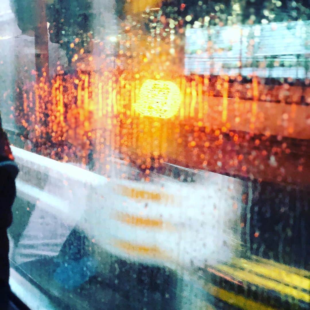 のインスタグラム：「#突然の雨は人を写真家にさせる （笑）」