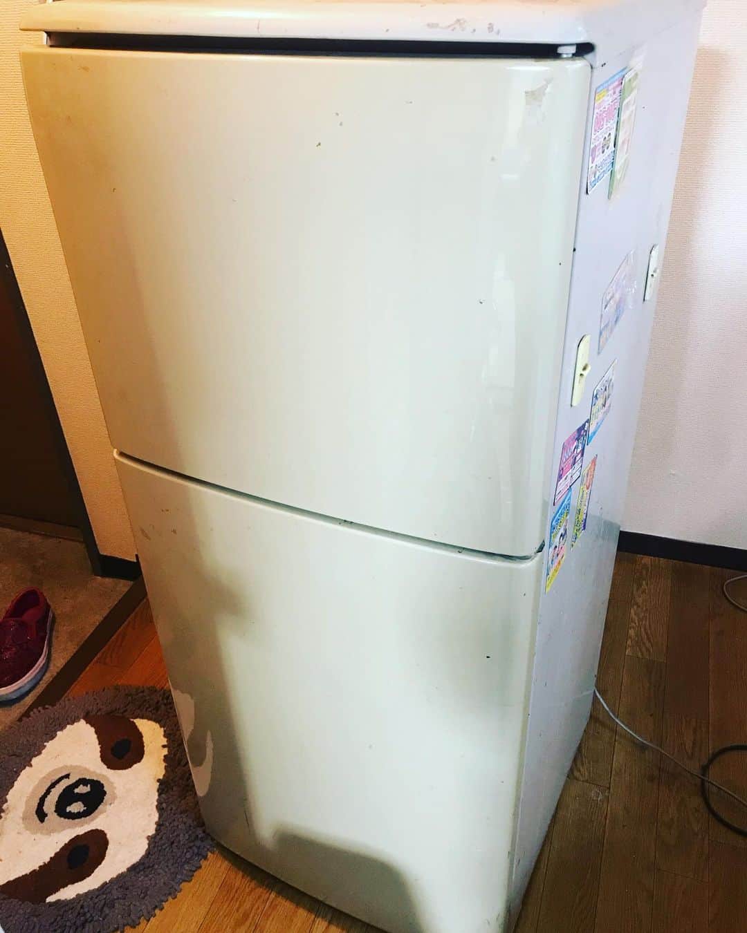みずえさんのインスタグラム写真 - (みずえInstagram)「18で上京（千葉だけど）した時から使ってきた無印家電セットの唯一の生存者である冷蔵庫。これからドナドナ（廃棄だけど）します。人間で例えると150歳だってさ。冷凍庫は勝手に解凍したり凍ったりしてたね。冷蔵庫の牛乳は期限前にヨーグルトになってたね。冬は台所を暖めてくれてたね。長い間ありがとう😊」8月20日 16時39分 - mizuemusic