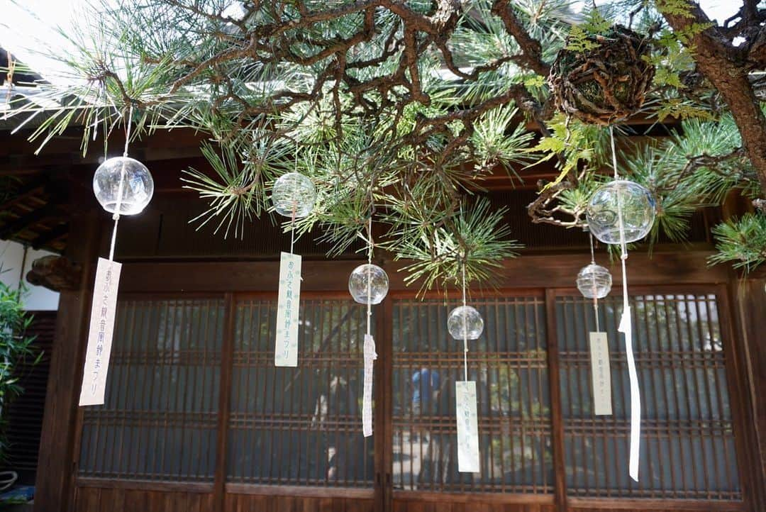 小嶋晶子さんのインスタグラム写真 - (小嶋晶子Instagram)「At Ofusa Kannon Temple which is famous for wind chimes.🎐 #おふさ観音 #風鈴祭り #奈良 #日本 #🇯🇵 #ofusakannon #ofusakannontemple #furin #windbell #windchimes #🎐 #nara #japan」8月20日 16時44分 - kojimamajiko