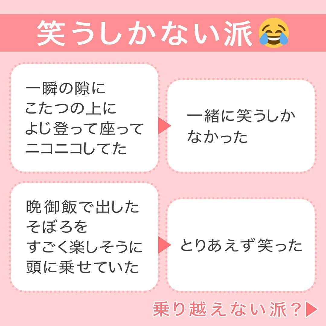 MAMA DAYS -ママデイズ- 公式Instagramさんのインスタグラム写真 - (MAMA DAYS -ママデイズ- 公式InstagramInstagram)「みなさんは何派ですか？笑う派？叫ぶ派？写真撮る派？ 今回はMAMADAYSユーザーに聞いたびっくり行動とその乗り越え方法をタイプ別で届けします。 . 【みんなに聞いた！ びっくり行動乗り越え方5選】 . 参考になったらハッシュタグ #ママデイズ をつけて教えてくださいね♪ . #mamadays #ママデイズ  #育児ママ #育児中 #育児あるある #ママスタグラム #子育てあるある #ていねいな暮らし #時短家事 #お風呂場 #お風呂好き #キッチンインテリア #キッチン用品 #掃除グッズ #掃除記録 #洗濯機 #洗濯日和 #楽したい #知恵 #ママの知恵 #子育て #暮らしを楽しむ #逆に楽しい #びっくり #朝時間 #事件発生 #夏休み #夏」8月20日 17時03分 - tomonite_official