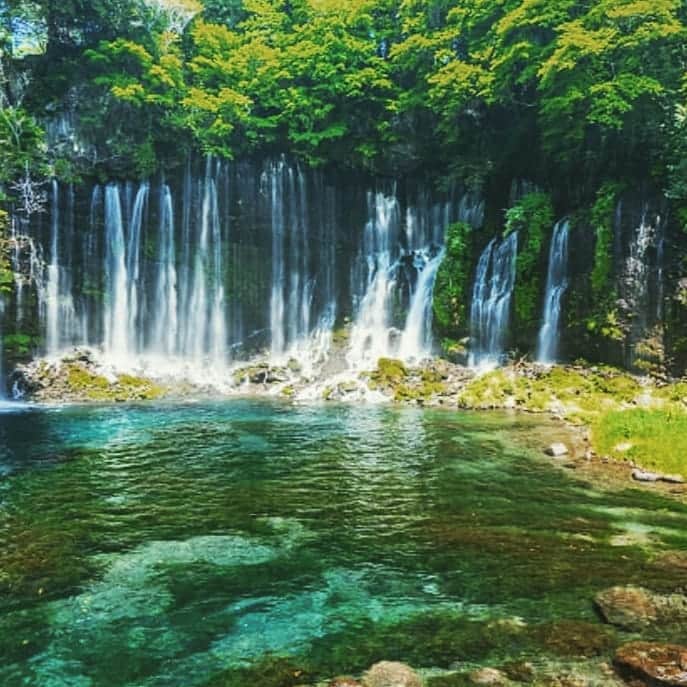 西山茉希さんのインスタグラム写真 - (西山茉希Instagram)「最近無性に滝に行きたい西山です。  人生で初めてです。  #滝欲 #見たい #浴びたい #感じたい  まずは都内近場から叶えようかと。 誰か行こぉよぅ。  #滝巡り #ドライブしようぜ  結局根本、 水が好き。」8月20日 17時18分 - maki.nshiyama50