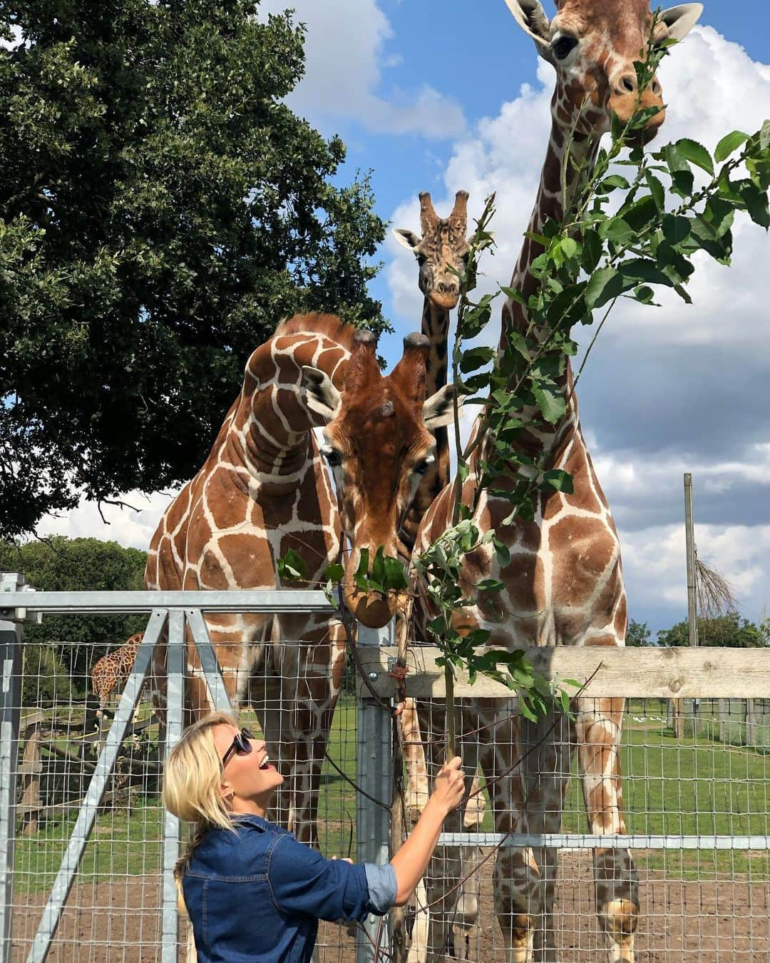 ヘレン・スケルトンさんのインスタグラム写真 - (ヘレン・スケルトンInstagram)「Literally no one eats the food I bring them..... more Big Week at the Zoo tonight 8pm @channel5_tv xx (vest and belt @warehouseuk jumpsuit @newlook )」8月20日 17時27分 - helenskelton