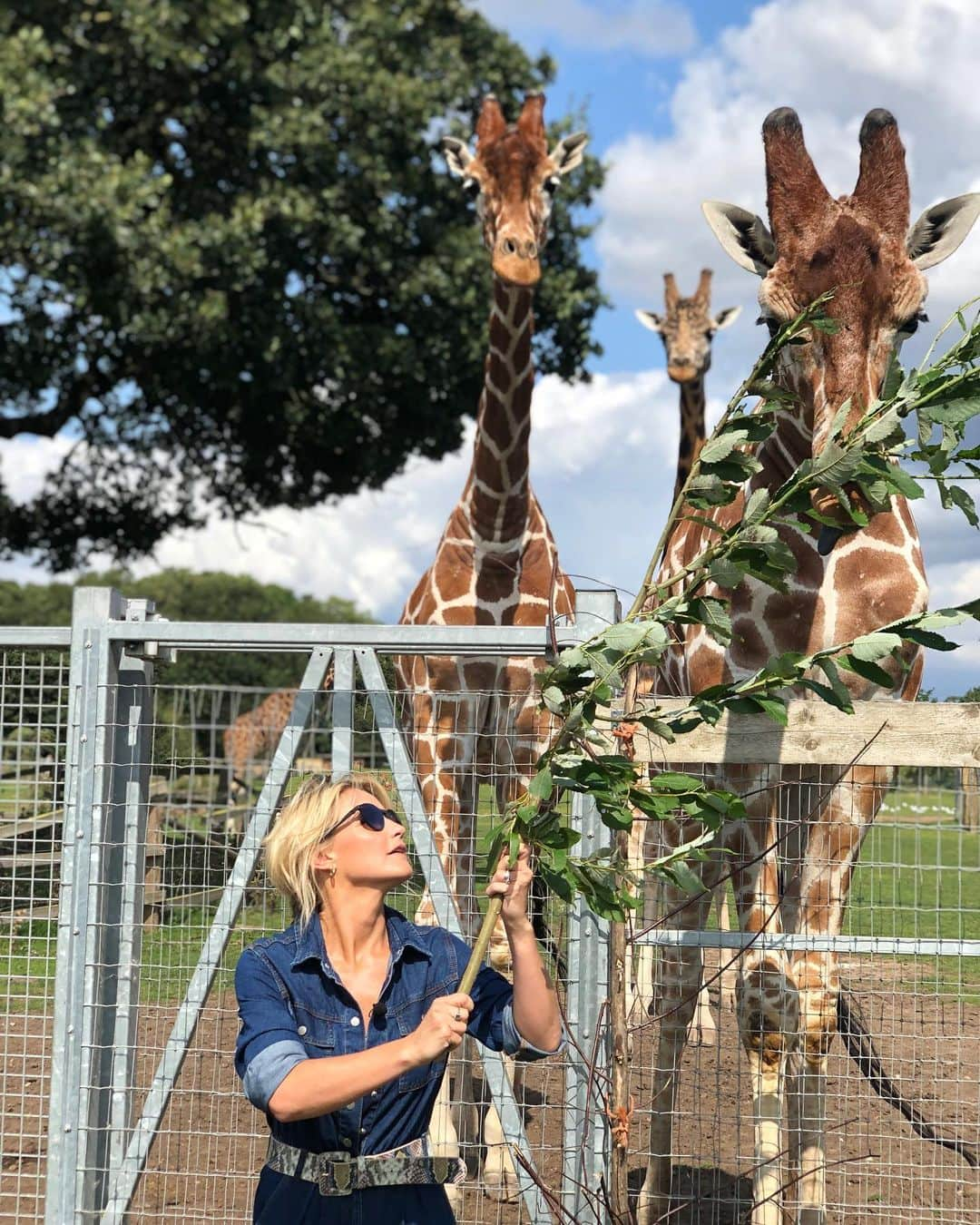 ヘレン・スケルトンさんのインスタグラム写真 - (ヘレン・スケルトンInstagram)「Literally no one eats the food I bring them..... more Big Week at the Zoo tonight 8pm @channel5_tv xx (vest and belt @warehouseuk jumpsuit @newlook )」8月20日 17時27分 - helenskelton