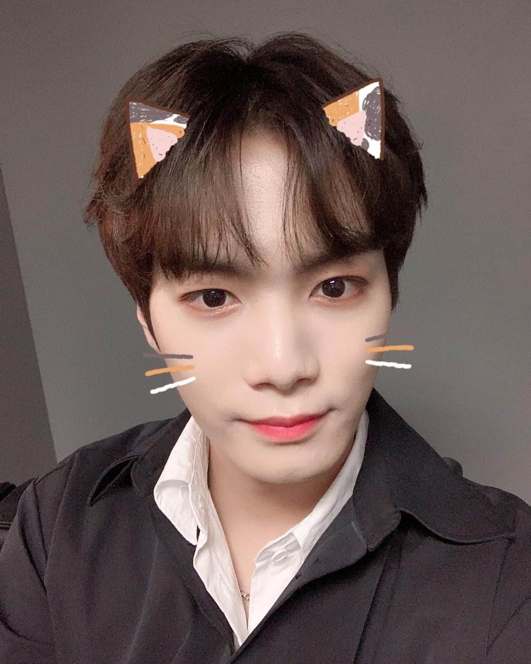 JR のインスタグラム：「🐶」