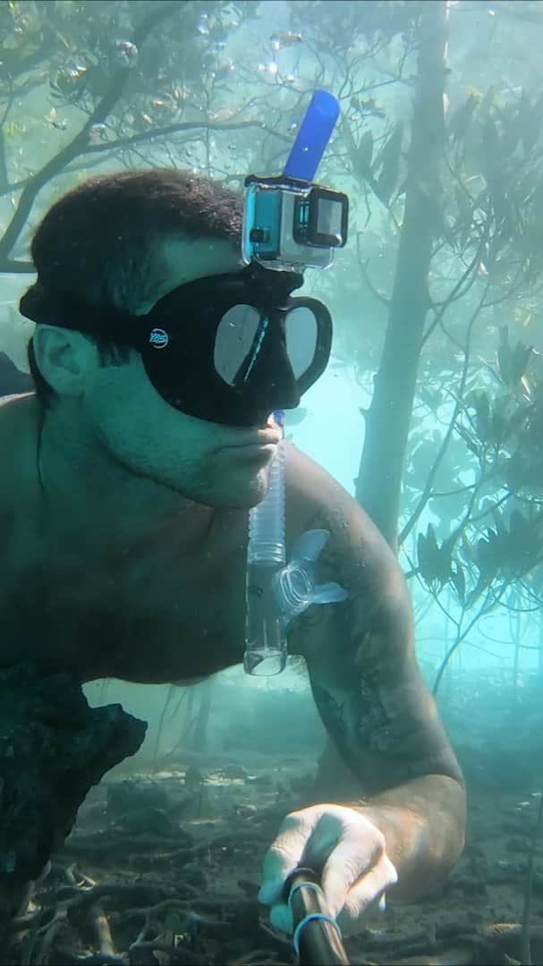 GoProのインスタグラム