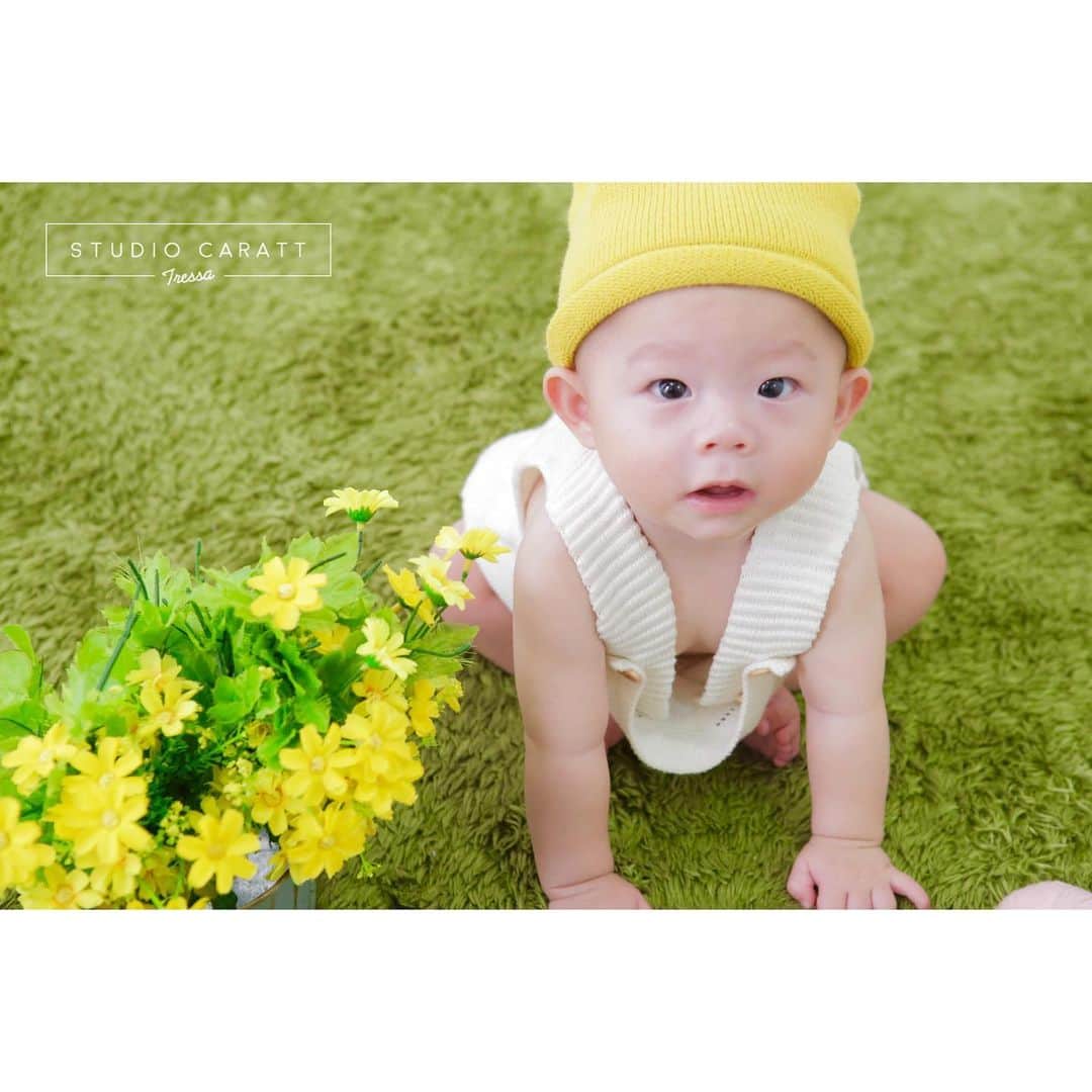 スタジオキャラットトレッサ横浜店のグルメインスタ