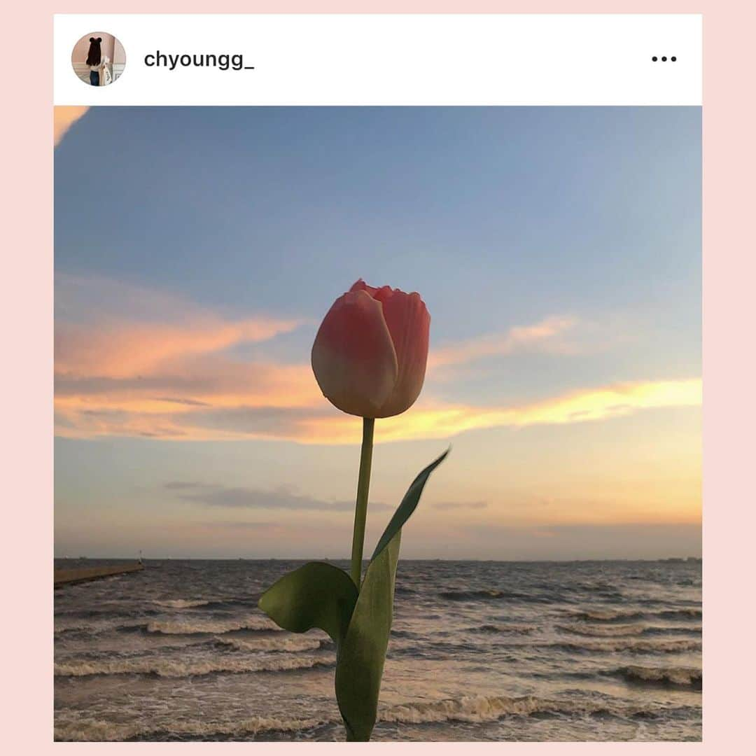 bis_web bis [ビス] さんのインスタグラム写真 - (bis_web bis [ビス] Instagram)「August 20, Tuesday﻿ ﻿ ﻿ 🌷﻿ ﻿ ﻿ 𝐒𝐔𝐍𝐒𝐄𝐓  𝐁𝐄𝐀𝐂𝐇 ﻿ ﻿ ﻿ 海に行くと綺麗な景色がたくさんたのしめるけど、﻿ とくに夕日が沈むころを狙って﻿写真を撮るのがおすすめ。﻿ ﻿ グラデーションの空が映えること間違いなし☁️🧡﻿ ﻿ ﻿ ﻿ ﻿ #海 #ビーチ﻿ #beach #sunset #サンセット #夕日 #夕陽 #撮影 #コーデ #コーディネート #夏 #summer #チューリップ #tulip #風景 #空 #写真 #写真好きな人と繋がりたい #麦わら帽子 #思い出 #bis_web #写真の撮り方 #海ピク #海ピクニック #海pic」8月21日 0時13分 - bis_web