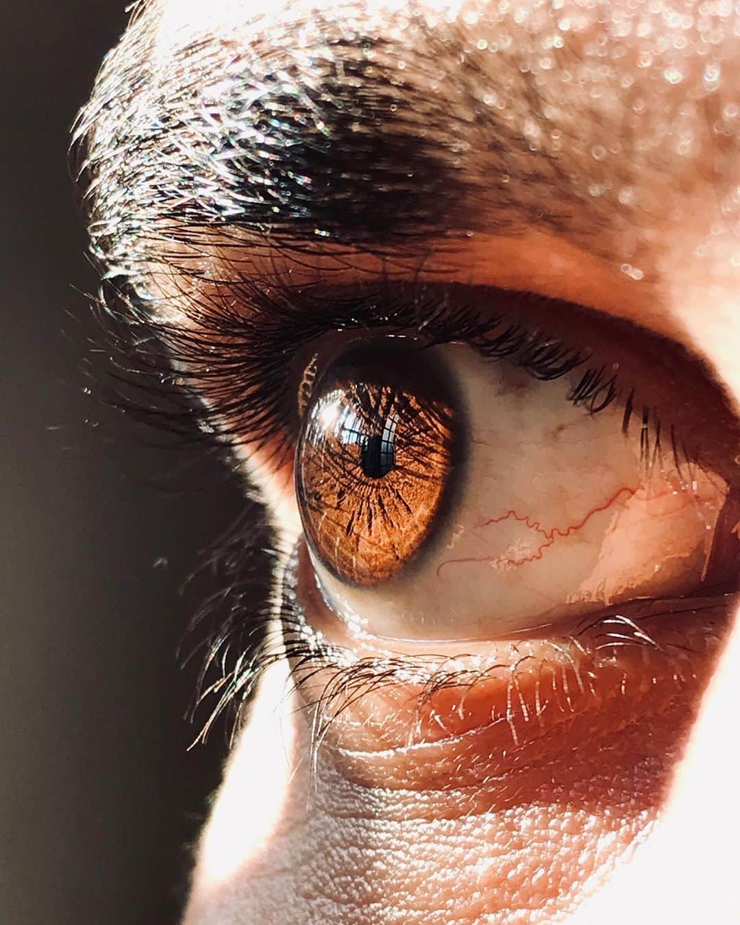 appleさんのインスタグラム写真 - (appleInstagram)「“The details in my brother’s eye.” #focus #ShotoniPhone by Muhammed J. @the_lenser」8月21日 0時14分 - apple