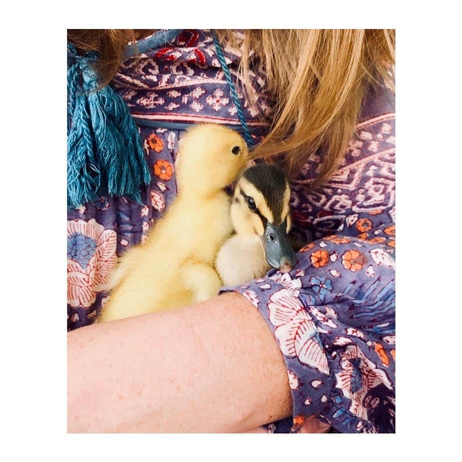 マッタさんのインスタグラム写真 - (マッタInstagram)「Baby ducks cuddle up in our Yamini Dress❣️❣️❣️ @oysterbelle we love this photo 🐣🦆 ✨link in bio to see more of our  Yamini Dresses✨ #mattanewyork #mattamade #sustainablefashion #babyducks」8月21日 0時18分 - mattanewyork