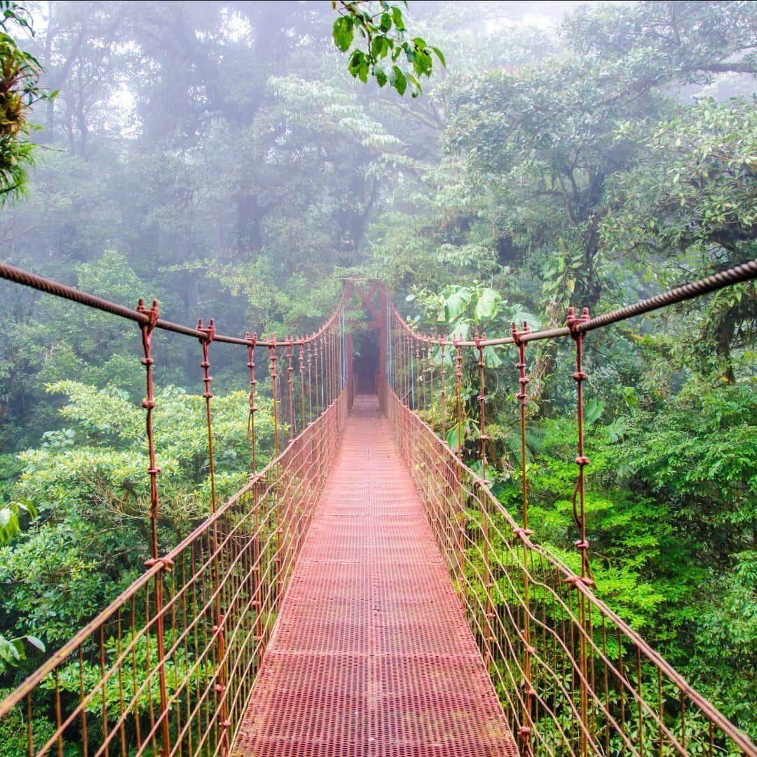 Lonely Planetのインスタグラム：「With almost all of its energy already coming from renewable resources and aiming to be the world's first carbon neutral country (it's on track to achieve this by 2021!), Costa Rica is a climate conscious traveler's dream. Tap our link in bio to check out eight more destinations that are perfect for an eco-friendly escape! 💪 🌍」