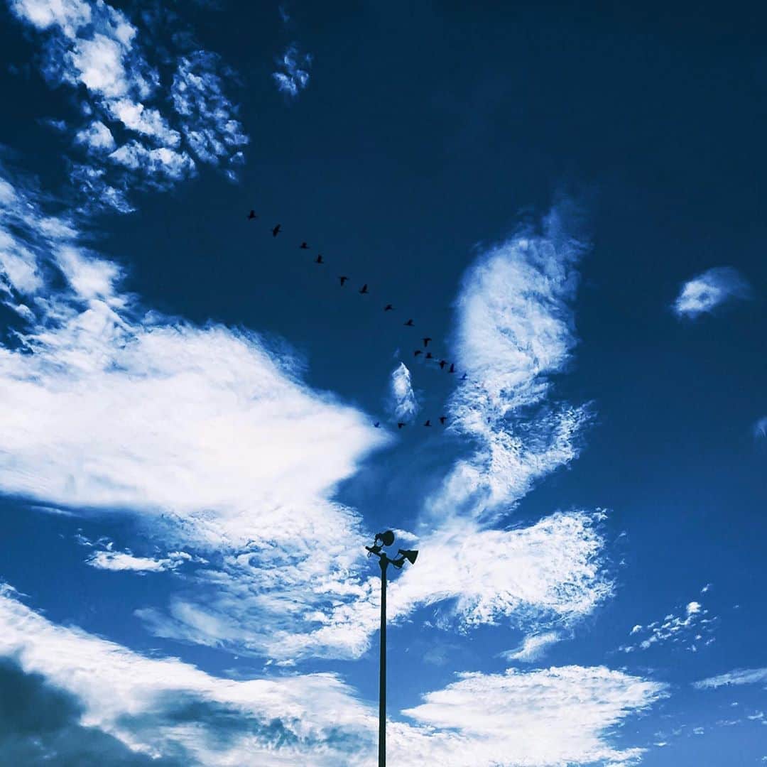 国分真央さんのインスタグラム写真 - (国分真央Instagram)「. 空が海に見える時。  #iphonephotography  my secondary account ➝ @elilis___」8月20日 19時22分 - mao_kokubu