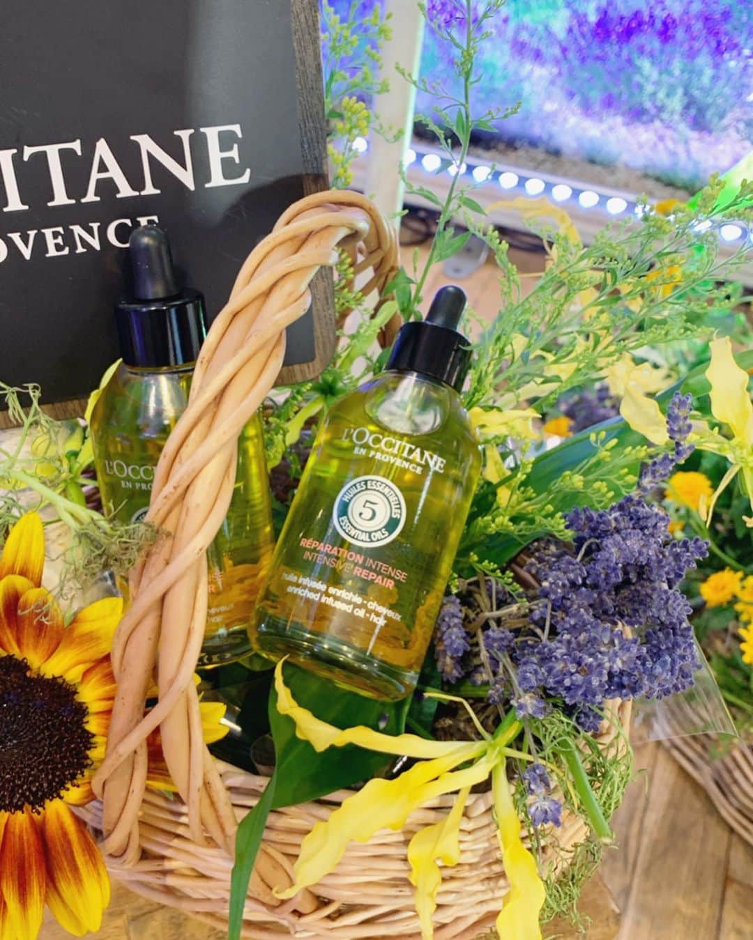 金子麻貴さんのインスタグラム写真 - (金子麻貴Instagram)「今日はサロンで @loccitane_jp のシャンプー&コンディショナーを使ってウルツヤ髪に仕上げてもらいました✨ スタイリングはナチュラルな巻き髪。 . .  新しく出るファイブハーブスリペアリングインテンシヴオイルは見た目もすごく可愛い❤️ 手作業でボトルに花びらを入れてるそう。私もここ数年スタイリングにはオイルが必須アイテム！！ . . #ロクシタン#天使の輪#loccitane#pr#セミロング#ヘアケア#ヘアスタイル#ヘアオイル」8月20日 19時45分 - mtmmaki