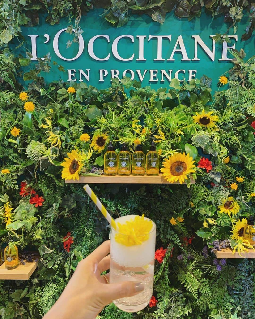 金子麻貴さんのインスタグラム写真 - (金子麻貴Instagram)「今日はサロンで @loccitane_jp のシャンプー&コンディショナーを使ってウルツヤ髪に仕上げてもらいました✨ スタイリングはナチュラルな巻き髪。 . .  新しく出るファイブハーブスリペアリングインテンシヴオイルは見た目もすごく可愛い❤️ 手作業でボトルに花びらを入れてるそう。私もここ数年スタイリングにはオイルが必須アイテム！！ . . #ロクシタン#天使の輪#loccitane#pr#セミロング#ヘアケア#ヘアスタイル#ヘアオイル」8月20日 19時45分 - mtmmaki