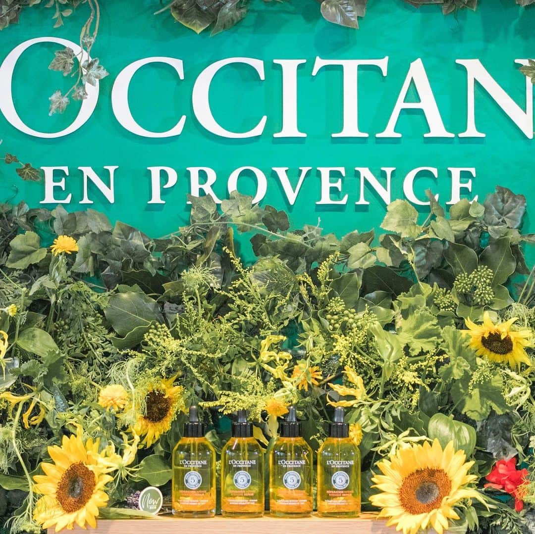 L'OCCITANE en Provenceさんのインスタグラム写真 - (L'OCCITANE en ProvenceInstagram)「【速報📣】明日発売💛 ファイブハーブス リペアリングシリーズインテンシヴオイルのL‘OCCITANE×WWD BEAUTY “うる艶”髪に導く﻿ファイブハーブス リペアリングシリーズ  スペシャルヘアケアイベントが行われました！ ﻿ 昨年夏にリニューアルし、﻿数々の #ベスコス を受賞した﻿ ファイブハーブス リペアリングシリーズ🎖 ﻿ そのダメージ補修力の高さに、﻿ 美容のプロフェッショナルの方々からも﻿ 高い評価を受ける実力派ラインから、﻿ 明日8月21日、洗い流さないヘアオイル﻿ 「リペアリングインテンシヴオイル」が新発売🌻✨﻿ ﻿ 新オイルは従来のファイブハーブス  リペアリングヘアオイルに比べて﻿ 5倍もの植物オイルを配合🌿﻿ ﻿ さらに、うるつや髪のための 独自の贅沢ブランドとして、﻿サンフラワーやオーツなど﻿ 髪をなめらかにし、毛先に輝きとツヤを与える﻿ オイルやエキスを贅沢に配合。﻿ ﻿ 甘くさやわかな香りの﻿アロマティックハーブのオイルが﻿ 髪の内部まで浸透し、痛んだダメージヘアを﻿ 集中補修してくれます💕﻿ ﻿ ﻿ 本日のスペシャルイベントでは、﻿ 発売直前のヘアオイルを﻿ ゲストの皆様にいち早くご体験いただきました🌼﻿ ﻿ 甘くさわやかな香りに包まれた会場には﻿ 製品に含まれるさまざまなハーブや﻿ ひまわりがいたるところにちりばめられました🌻﻿ ﻿ お客様には、リペアリングシリーズを使った﻿ スペシャルヘアケアをご体験いただきました。﻿ ﻿ 洗い上がりの髪には、天使の輪がキラリ✨﻿ 体験後の感想をお伺いしました。﻿ ﻿ 「ダメージを受けたロングヘアなので﻿ "天使の輪"と聞いたとき、﻿本当に出るかな？  と心配でしたが、﻿洗い上がりのツヤに感動しました！﻿ シャンプー台でつけたときはもちろん﻿ 乾かしているときにも良い香りが続き﻿ ヘアコロンのような楽しみ方もできそう」﻿ ﻿ 「つけた瞬間からツヤツヤに。﻿ 乾かしている時から、違いを感じられました。﻿ 紫外線ダメージが蓄積された夏の終わり、﻿ これは手放せなくなりそう！﻿ ボトルの中で、本物のひまわりの花びらが﻿ 揺れる新しいデザインも気に入りました。﻿ 見て、使って、癒されるアイテム。﻿ 友達にもオススメしたいです♡」﻿ ﻿ 新オイル「リペアリングインテンシヴオイル」は いよいよ明日発売！﻿ ﻿ 髪のパサつきやダメージが気になる方は﻿ ぜひお試しください😊💕﻿ ﻿ #ロクシタン #ファイブハーブス #新発売 #頭皮ケア #ヘアケア #ヘアケア用品 #ヘアケア商品 #紫外線ダメージ #ダメージヘア #毛先 #美容 #お助けコスメ #愛用品 #トリートメント #ヘアスタイル #シャンプー #コンディショナー #洗い流さないトリートメント #天使の輪 #ヘアオイル #夏コスメ #コスメマニア #ひまわり #🌻 #おすすめコスメ #キレイになりたい #コスメ好き  #LOccitane #WWD」8月20日 20時41分 - loccitane_jp