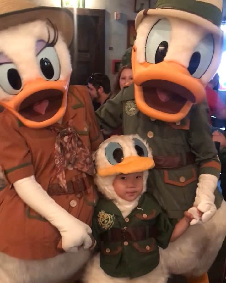 tiahy__のインスタグラム：「Tusker House Restaurant. . . . Animal KingdomにあるTusker House Restaurant. 大好きになったこのレストラン. . . 大好きなDonaldとDaisy. . そして、Attendant Castみんなが、とてもあたたかくて、優しくて。 . . . . . そしてなんと、CastのMARILYNが、Animal KingdomのLION🦁のぬいぐるみをプレゼントしてくれました. 最後の写真がMARILYNです. . . 驚きと感動で、感謝の気持ちで胸がいっぱいになりました. . 一生忘れません.本当に心に残る大切な時間になりました. . . Thank you so much. .  #wdw#waltdisneyworld#disneykids#taiacostume#disney#disneyfamily#disneybaby#tuskerhouserestaurant#animalkingdom#donald_taia」