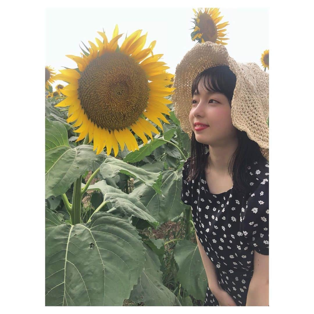 西田ひらりさんのインスタグラム写真 - (西田ひらりInstagram)「🌻🌻🌻 ・ ・ onepiece @holidayandholiday_official  hat @u_dresser ・ ・ ・ #西田ひらり #向日葵 #ひまわり #ひまわり畑 #🌻 #夏 #8月 #ワンピース #麦わら帽子 #ファッション #私服 #メイク #高校生 #sunflower #summer #august #onepiece #hat #fashion #ootd #jk #makeup #instagood #photooftheday」8月20日 20時47分 - hirari_nishida