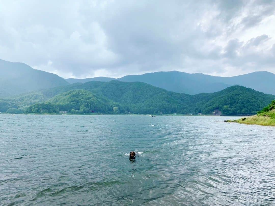 masakiさんのインスタグラム写真 - (masakiInstagram)「森ヴォルスの夏休み ハワイじゃなくて河口湖w かーちゃんはぼぼちゃんの初犬かき見て感動です🥺👏🏻」8月20日 20時52分 - mogurapicassowols