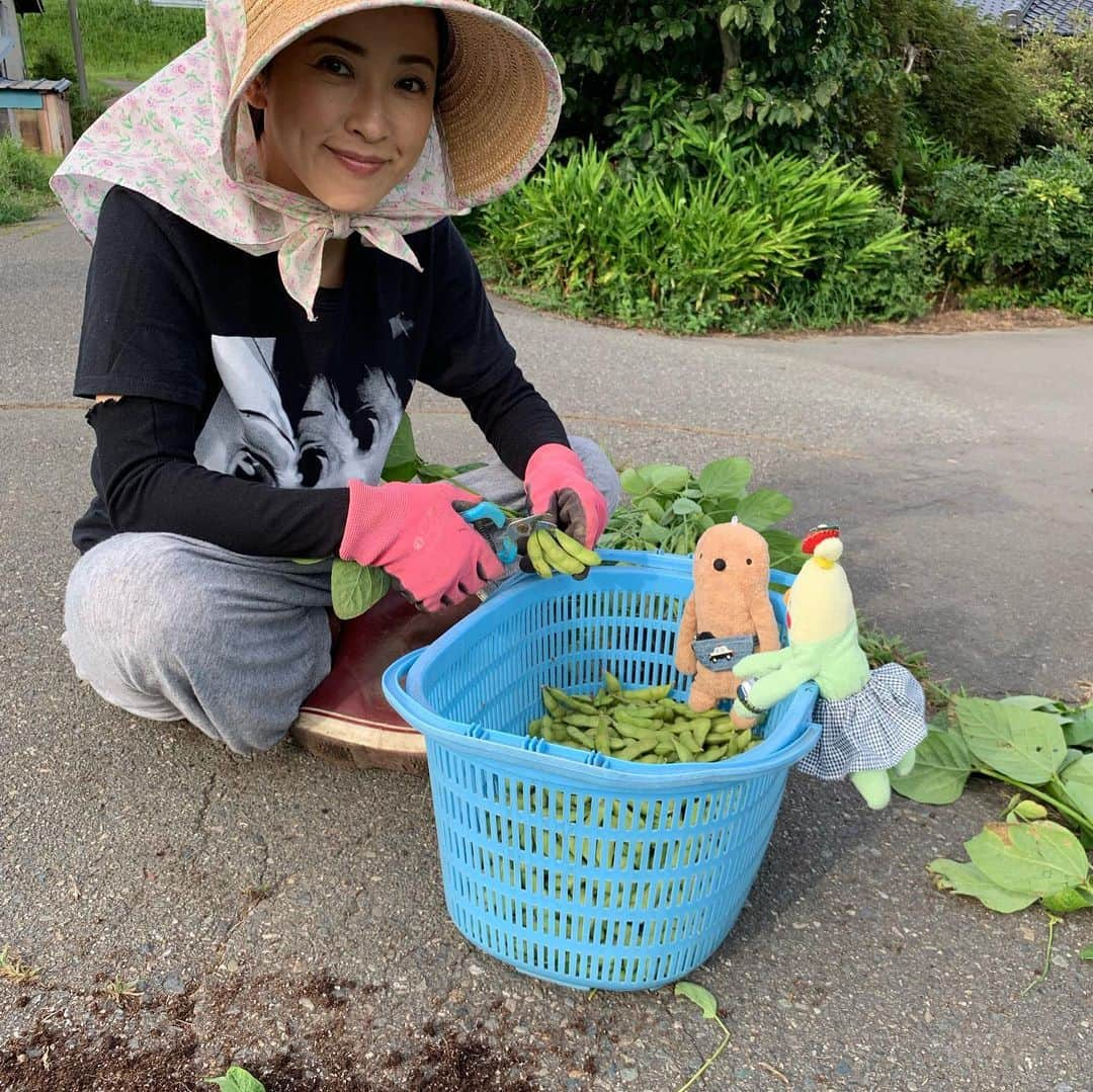 江口ともみさんのインスタグラム写真 - (江口ともみInstagram)「もぐたろう捜索隊お礼旅 長野飯島町  田舎暮らし体験でお世話になった飯島町七久保の那須野さん宅  オモちゃん、とさよ、まんちゃん おかちゃん、そしてもぐたろう  那須野さんちに泊まってみんなでご飯😊れーこ、あすか、はるえちゃんも集まってくれてありがとね💕 トモゾーも夜も来てくれてありがと‼️ ここにはまめもみ農園があるから、野菜収穫。枝豆切るかあさん。。。 で、「ひなた」っていう飯島町の蕎麦の会の方のお宅でやってるお店でお蕎麦のコースランチだったんだけどね。。。 前菜にさ、イナゴとその幼虫と蜂の子とかいてさ。。。 まんちゃんが大変なことになったよ😅お蕎麦は勿論お料理全てとっても美味しいんだけどね  長野飯島町の皆さんいつも優しく迎えてくれてありがとう😊 またくるからねー✨  #fumofumosan #フモフモさん  #もぐたろう捜索隊  #もぐたろう捜索隊お礼旅  #長野県飯島町  #イナゴ#蜂の子」8月20日 21時37分 - tomomin.eguchi