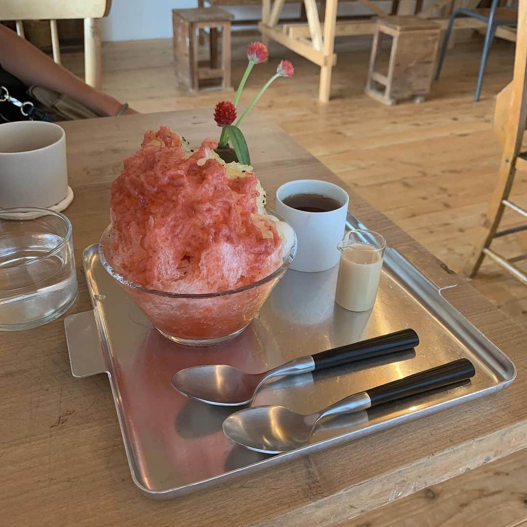 大坪はるらのグルメインスタ