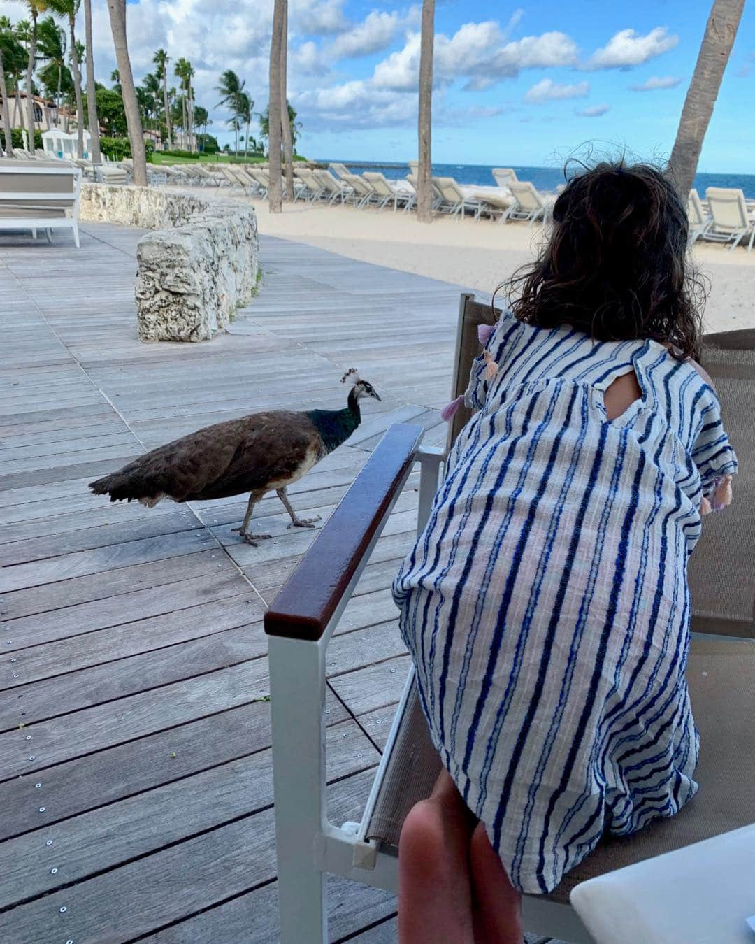 ロージー・オドネルさんのインスタグラム写真 - (ロージー・オドネルInstagram)「a peacock said hello #vacation」8月21日 8時00分 - rosie