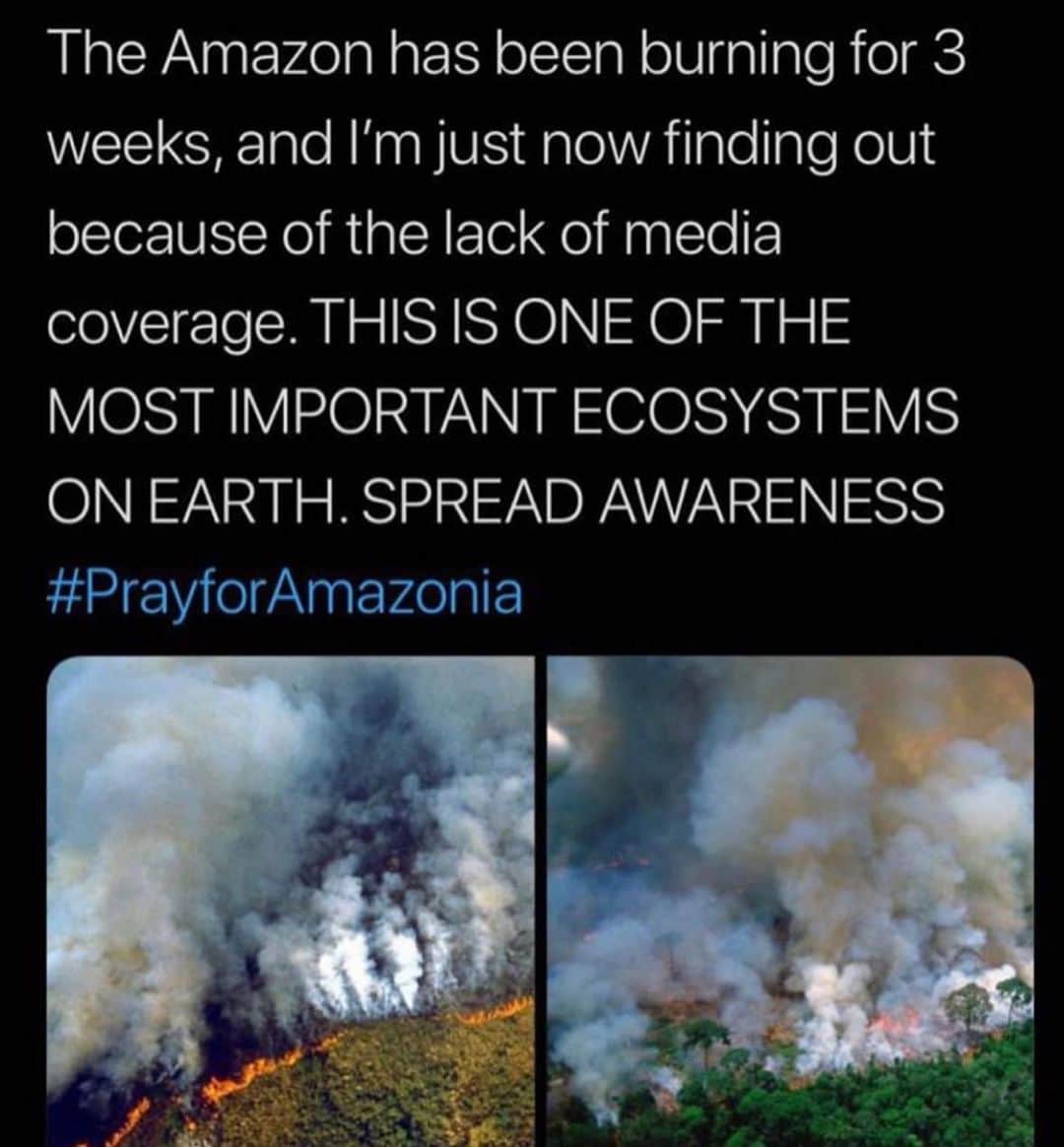 カーラ・デルヴィーニュのインスタグラム：「#PrayforAmazonia 🙏🏽」