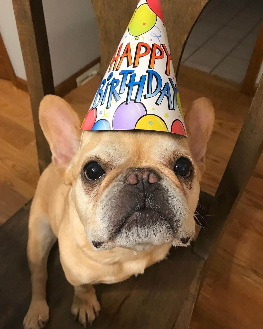 Hamlinのインスタグラム：「10 rotations around the sun completed. 🥳🎈🎂 If I lived on Mars, however, I’d only be 5 years old. Maybe I need to check my AMEX point balance to see if I have enough credits for a space flight ticket. I hope there’s funnel cake stand at the Martian spaceport. .......... #birthdayboy #happybirthday #caketime」