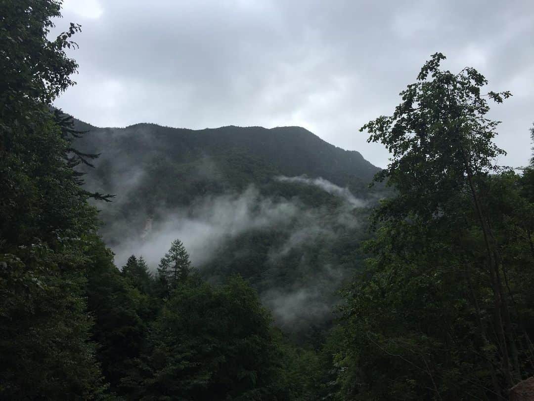 チックンとプーちゃんのふるさと? From Japan??のグルメインスタ