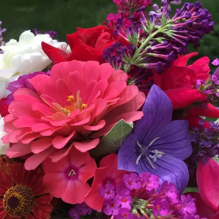 のインスタグラム：「#Flowers in season. #august #latesummer」