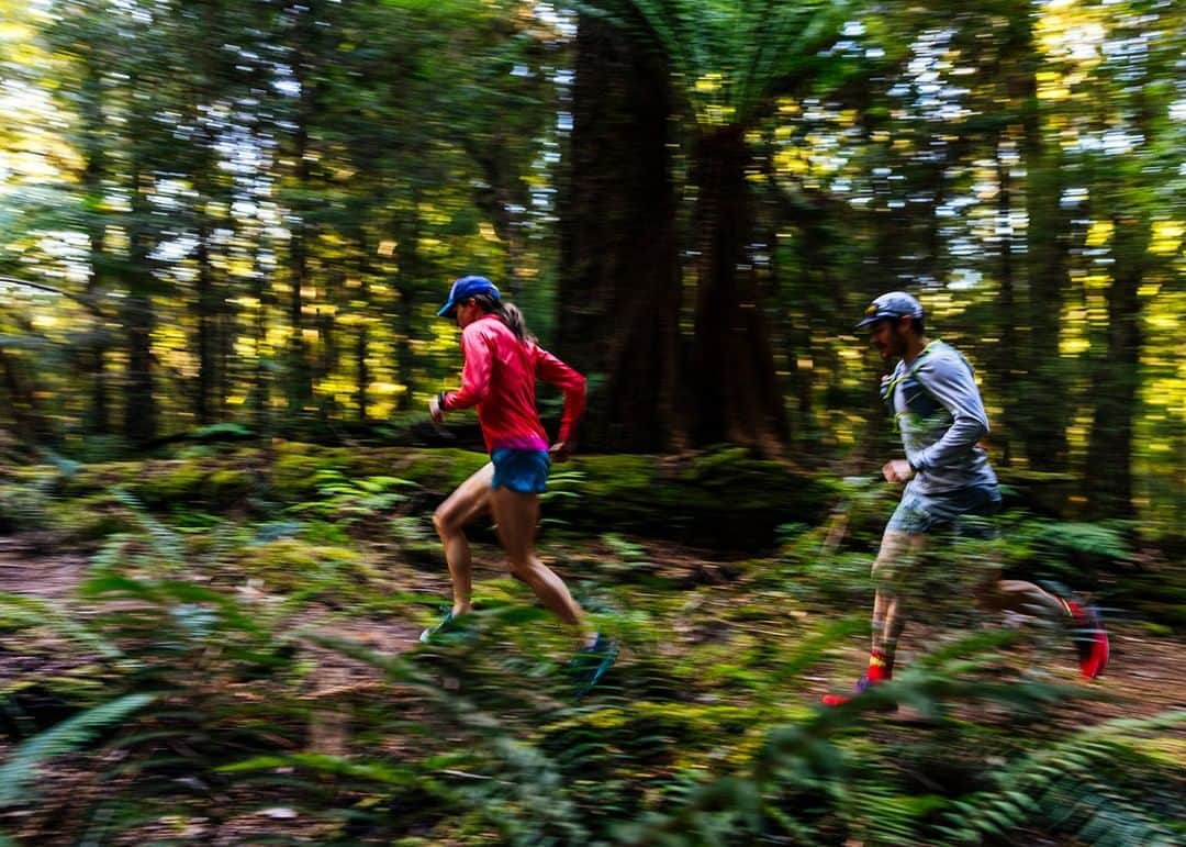 patagoniaさんのインスタグラム写真 - (patagoniaInstagram)「"Being among trees, moving through dense forests on single-track trail and exploring varying landscapes generates an energy and connection to something much greater that provides the “why” to life for me."⁠ ⁠ Read @krissymoehl’s piece on running through the threatened takayna in Tasmania on The Cleanest Line through the link in bio. ⁠ Photo: @jarrahlynch」8月21日 0時30分 - patagonia