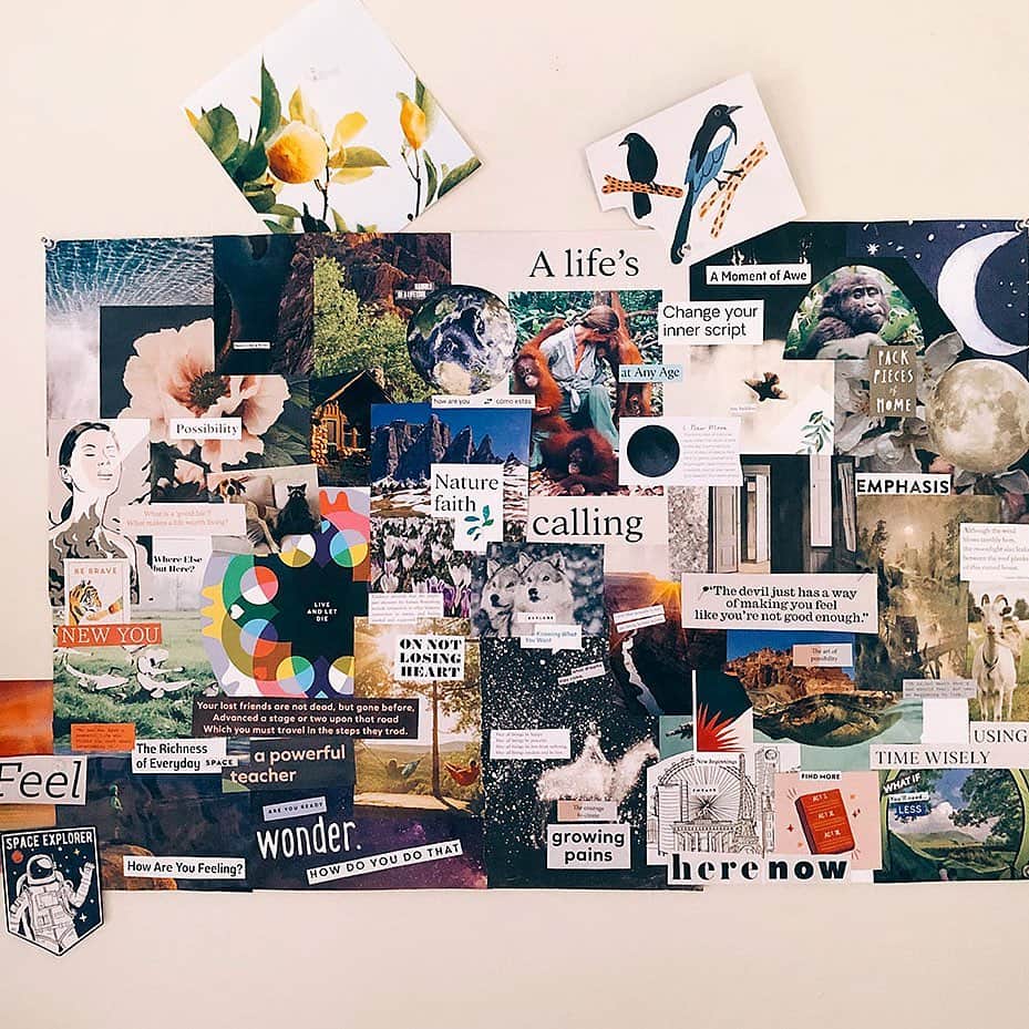 Grace Bonneyのインスタグラム：「🔮 What does the future hold? I decided to make (and share) one last vision board as we wrap up the final month of Design*Sponge and I have a feeling nature and big steps will be a part of my next chapter (I put some close ups in my stories above ☝🏽). Thanks for this great idea. So many of you suggested this as a way for me to better visualize and feel hopeful about life after Design*Sponge and you were right— I feel a clearer path opening to imagine new things 💛」