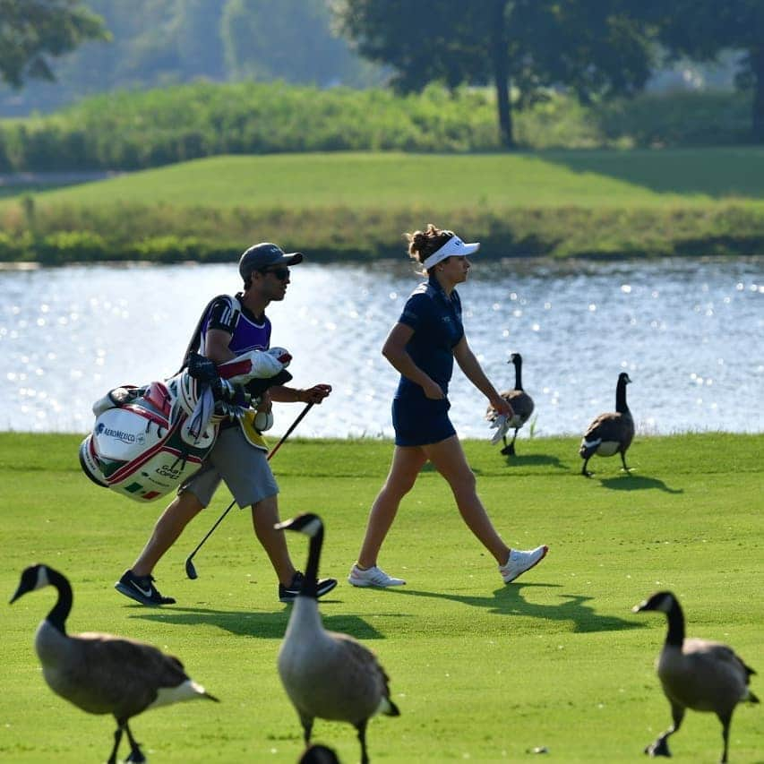 ギャビー・ロペスさんのインスタグラム写真 - (ギャビー・ロペスInstagram)「Life is a journey; every tournament is an opportunity to learn and grow, not just in golf. . . .  La vida es un viaje lleno de aprendizajes, cada torneo es un gran reto, una oportunidad para aprender y evolucionar en muchos aspectos, no sólo en lo profesional. @aeromexico .  #VolamosConTodo #Aeroméxico #aroundtheworldpix #traveler #instagood #worldplaces #igworldclub #health #wellness #iamgrateful #gratitide #love #happiness #positivity #thankful #goodvibes」8月21日 1時33分 - gabylopezgolf