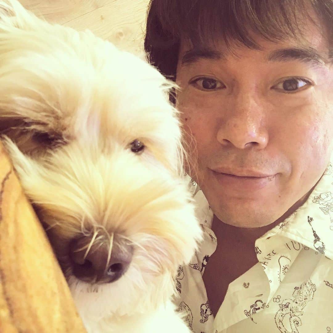 のインスタグラム：「迷惑そうなおもちw」