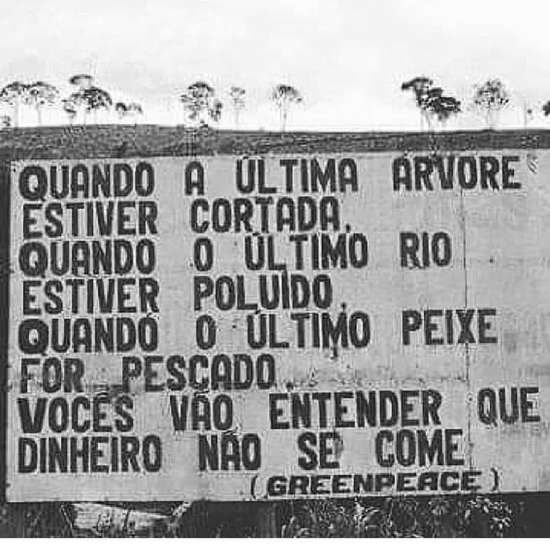 Thaila Ayalaさんのインスタグラム写真 - (Thaila AyalaInstagram)「Que TRISTEZA meu Deus.  Quanta ganância!!! Índios morrem, bichos morrem, matas morrem, rios morrem. Quantas mortes são necessárias para manter viva ambição do homem??? #sosamazonia #prayforamazonia」8月21日 2時10分 - thailaayala