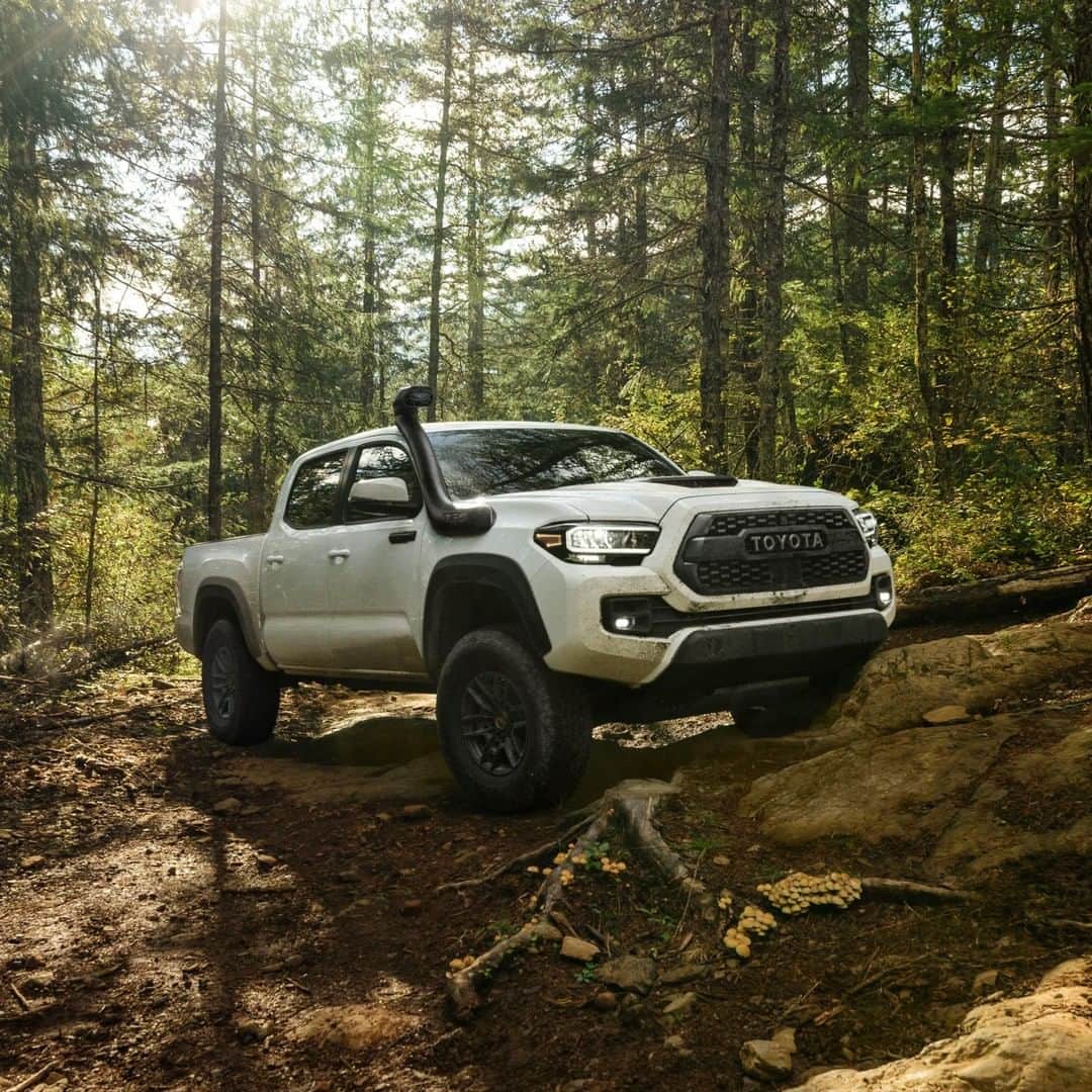 toyotausaさんのインスタグラム写真 - (toyotausaInstagram)「Challenging terrain is no match for #Tacoma. #LetsGoPlaces #TRD」8月21日 2時27分 - toyotausa