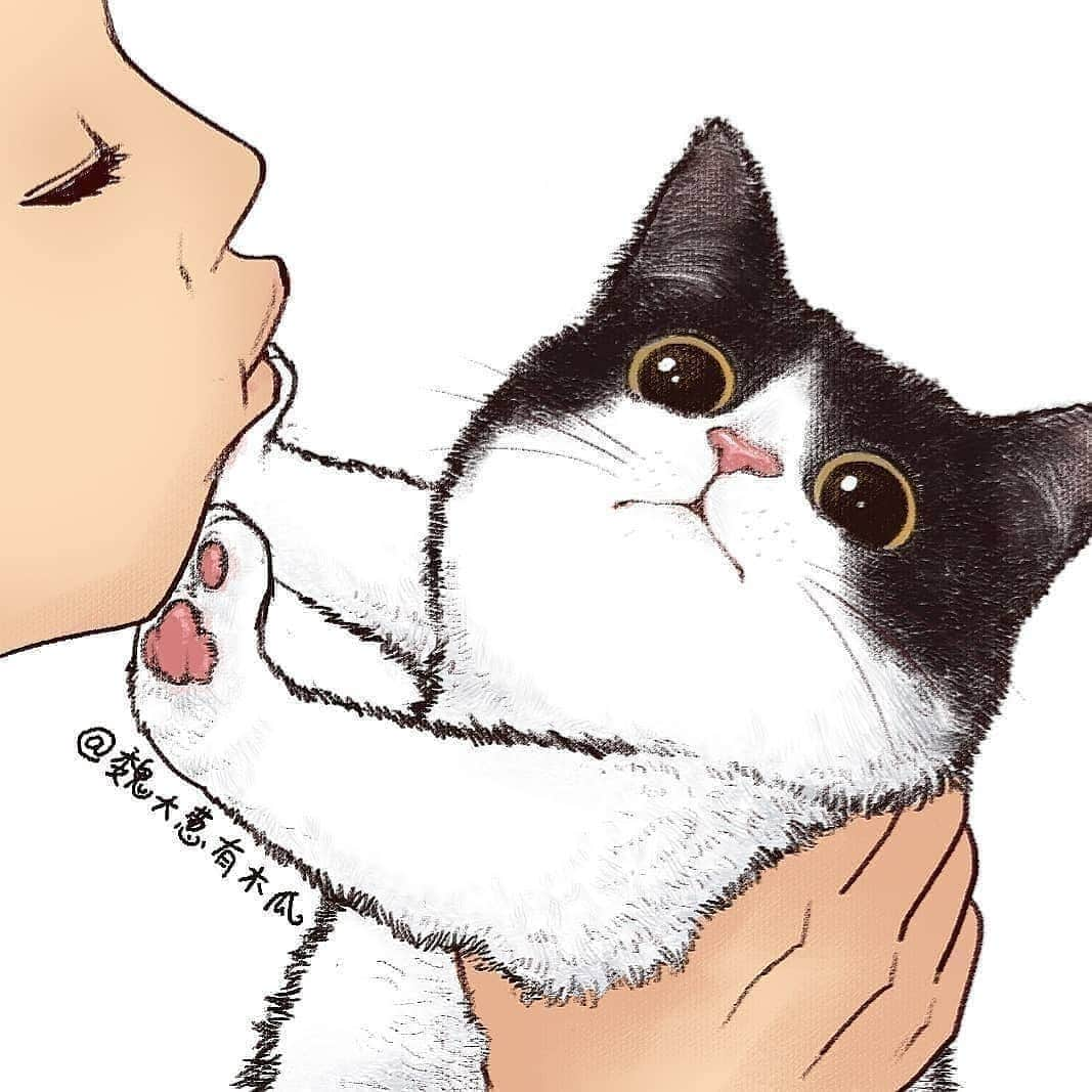 Pleasant Catsさんのインスタグラム写真 - (Pleasant CatsInstagram)「📷 @魏大葱有木瓜 | Zcool "Don't kiss meaw!" 😙😾 #pleasantcats ❤❤」8月21日 4時44分 - pleasantcats