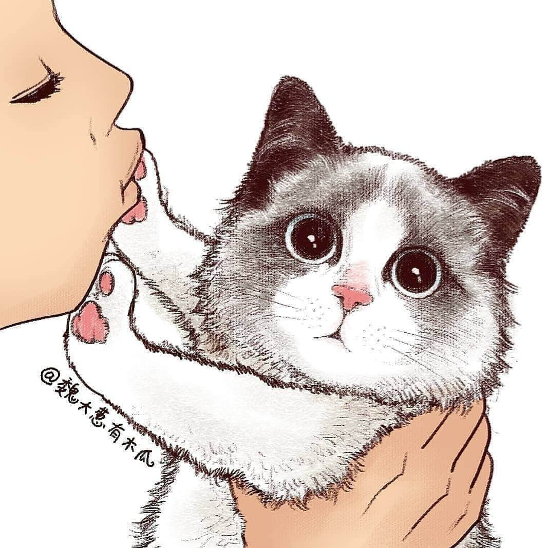 Pleasant Catsさんのインスタグラム写真 - (Pleasant CatsInstagram)「📷 @魏大葱有木瓜 | Zcool "Don't kiss meaw!" 😙😾 #pleasantcats ❤❤」8月21日 4時44分 - pleasantcats