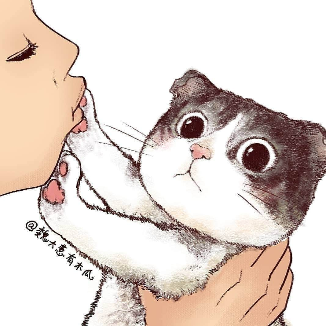 Pleasant Catsさんのインスタグラム写真 - (Pleasant CatsInstagram)「📷 @魏大葱有木瓜 | Zcool "Don't kiss meaw!" 😙😾 #pleasantcats ❤❤」8月21日 4時44分 - pleasantcats