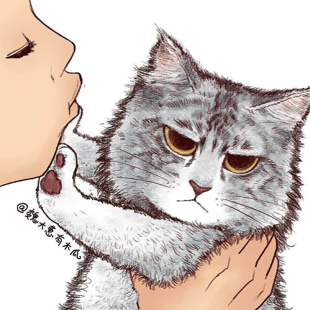 Pleasant Catsさんのインスタグラム写真 - (Pleasant CatsInstagram)「📷 @魏大葱有木瓜 | Zcool "Don't kiss meaw!" 😙😾 #pleasantcats ❤❤」8月21日 4時44分 - pleasantcats