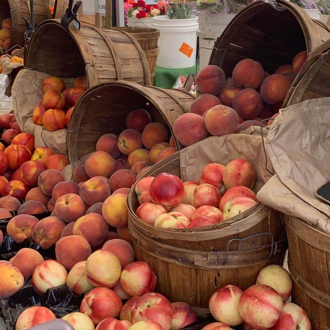 ケルシーのインスタグラム：「i wish the farmers market was everyday」