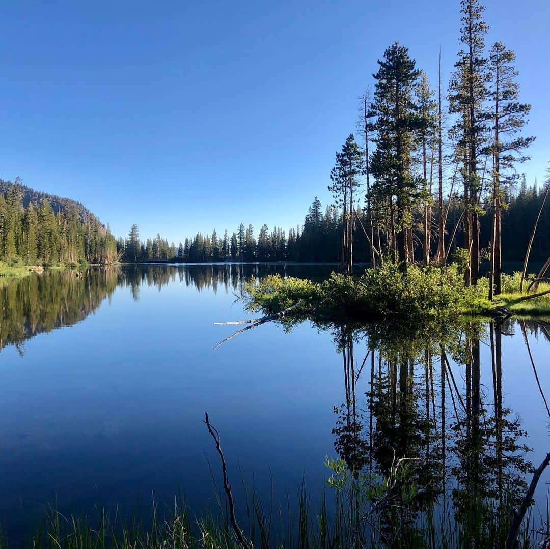 タナー・フォウストさんのインスタグラム写真 - (タナー・フォウストInstagram)「A little calm before the next storm... @mammothmountain」8月21日 5時44分 - tannerfoust